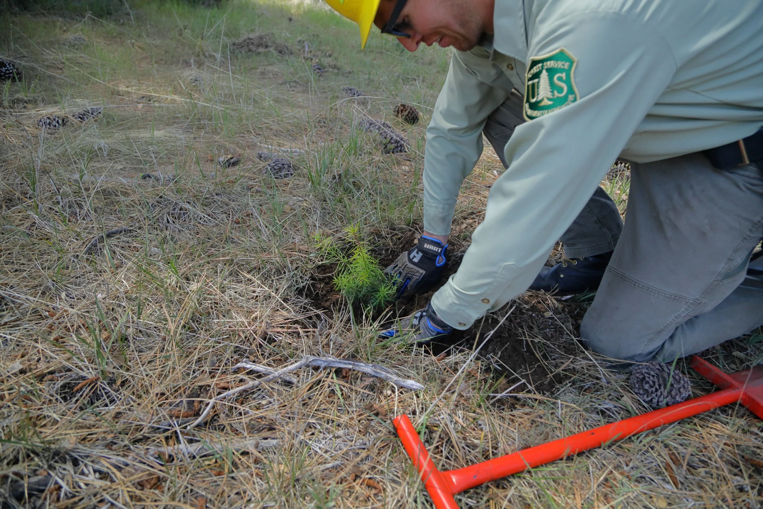 americorps_usfs_00208.JPG