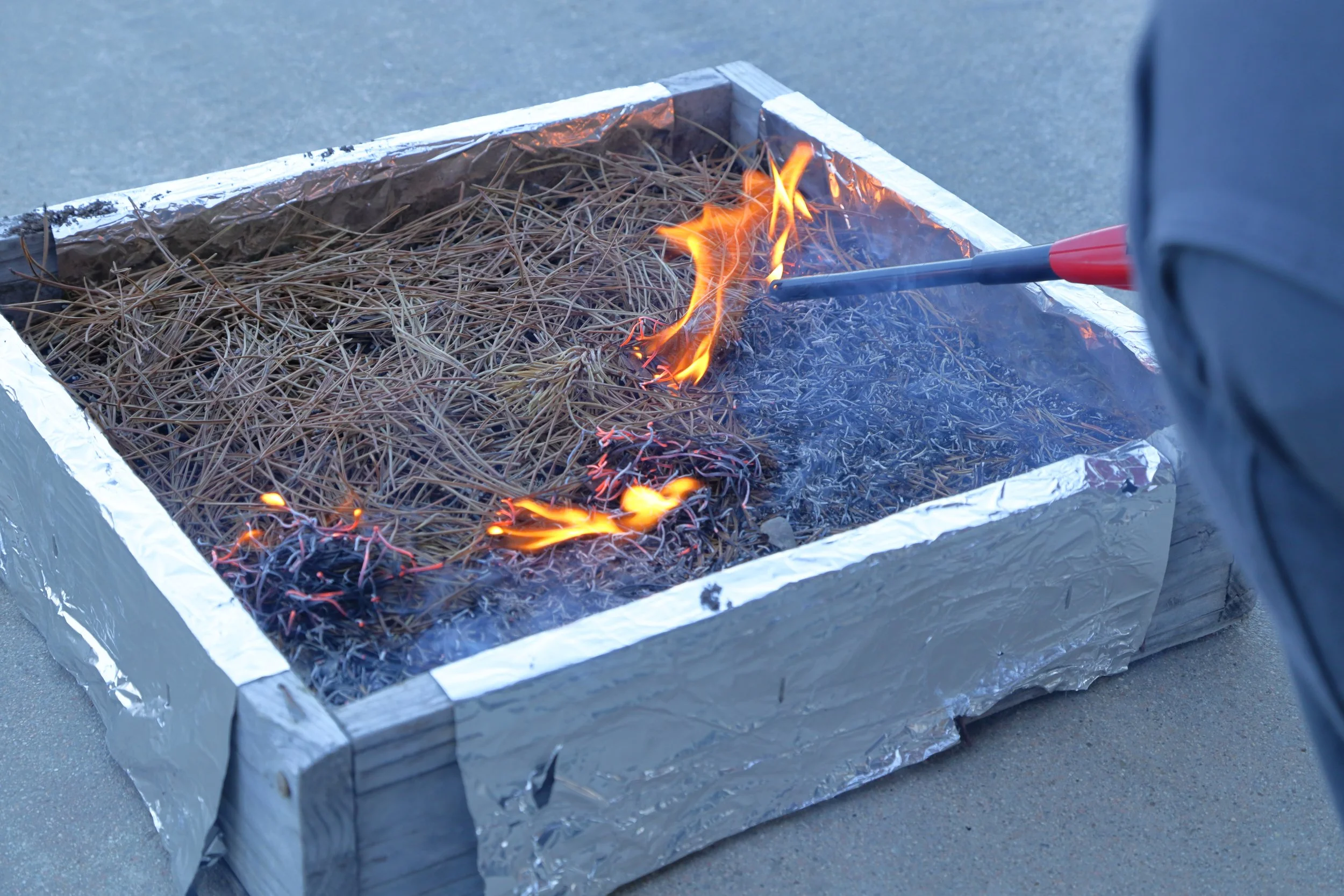 CHIS 44.JPG