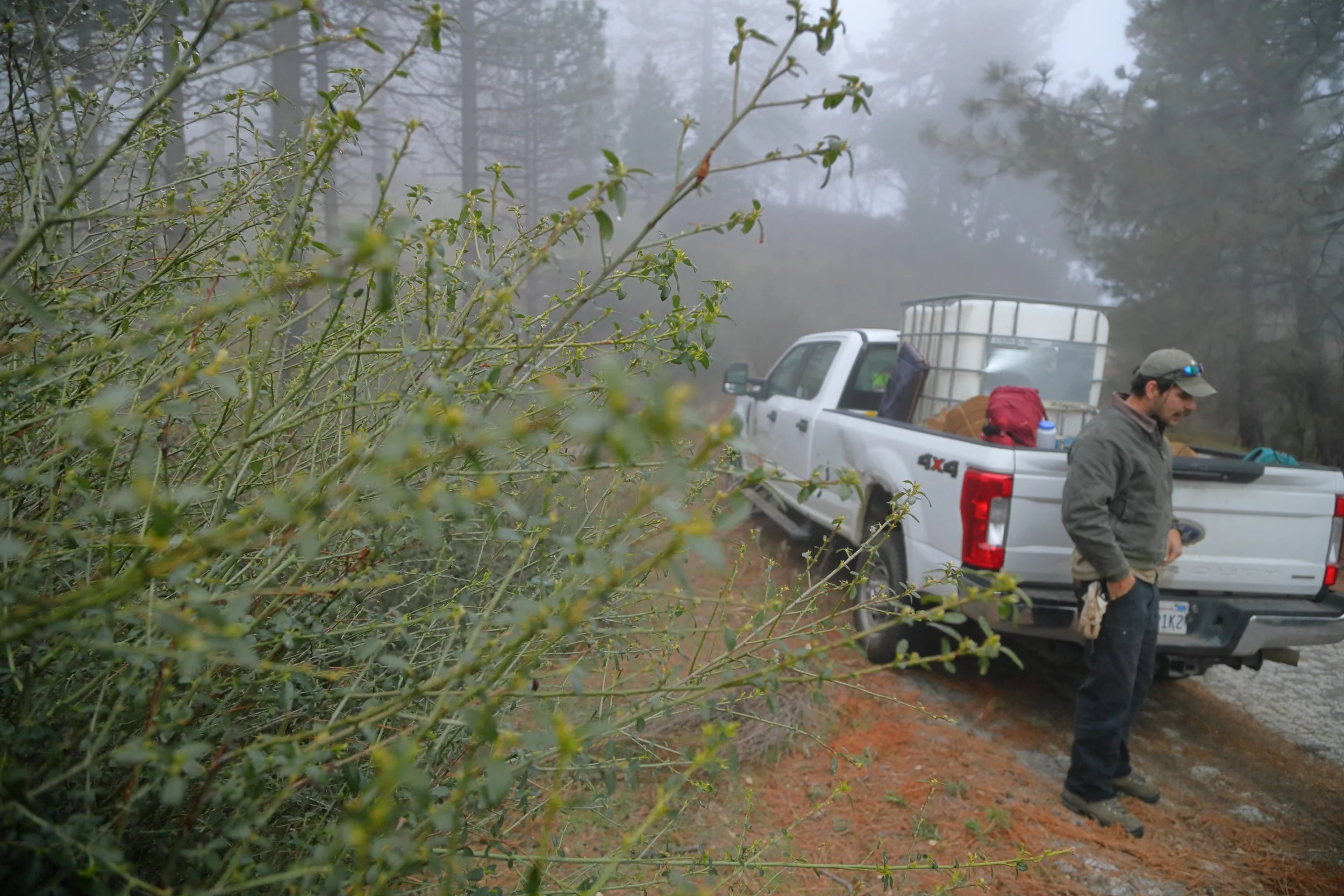 americorps_usfs_00006.JPG