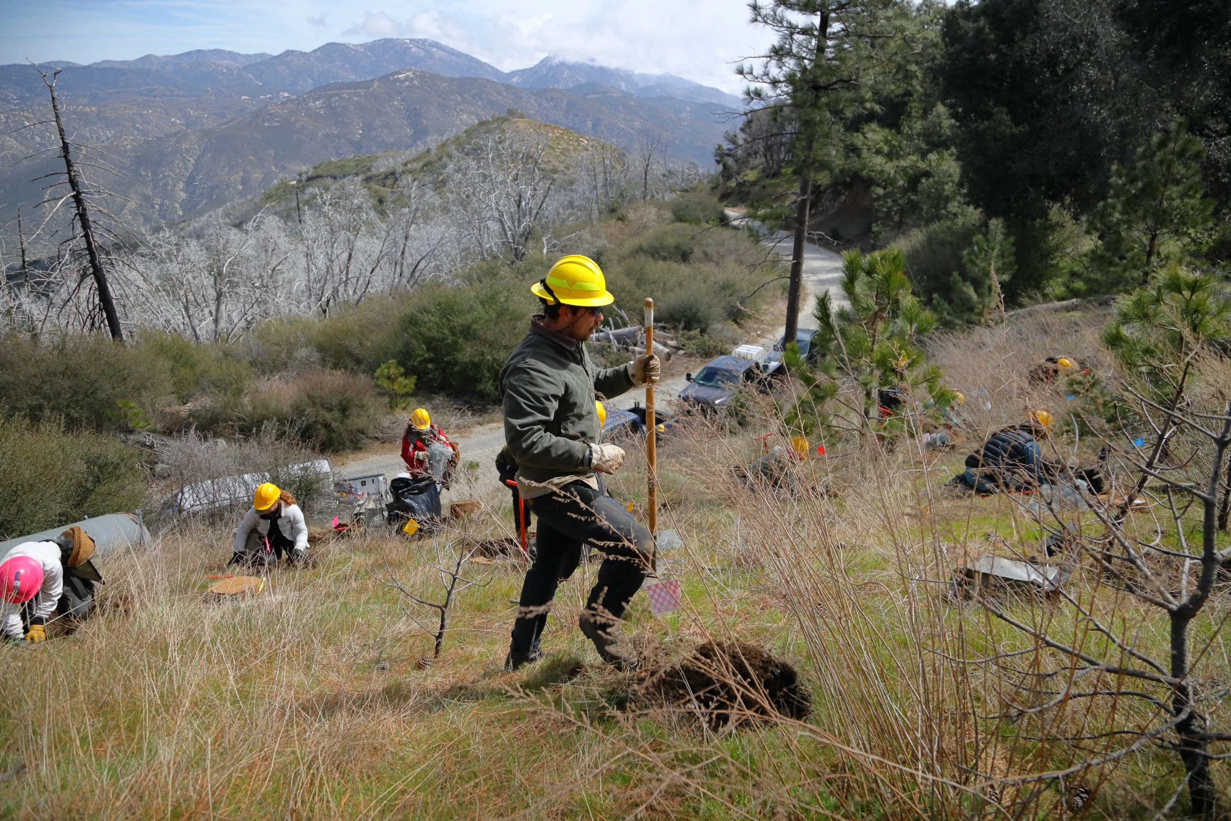 americorps_usfs_00053.JPG