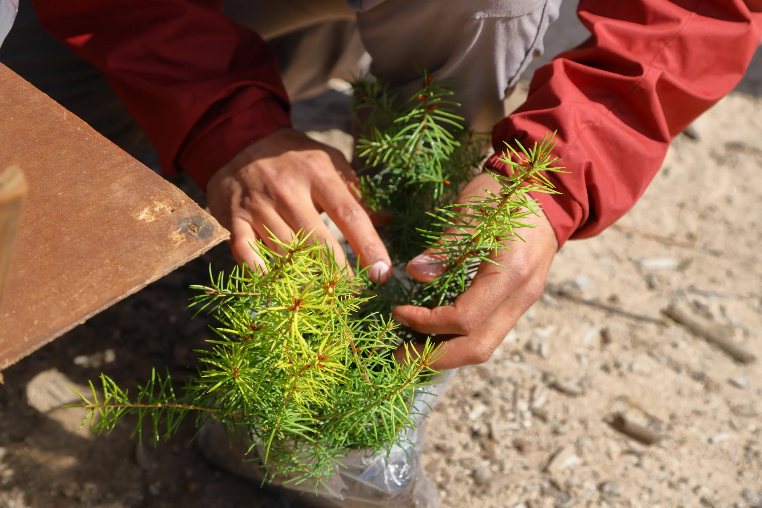 americorps_usfs_00181.JPG