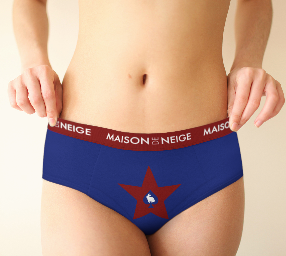 preview-cheeky-briefs-5440870-scene-front.png