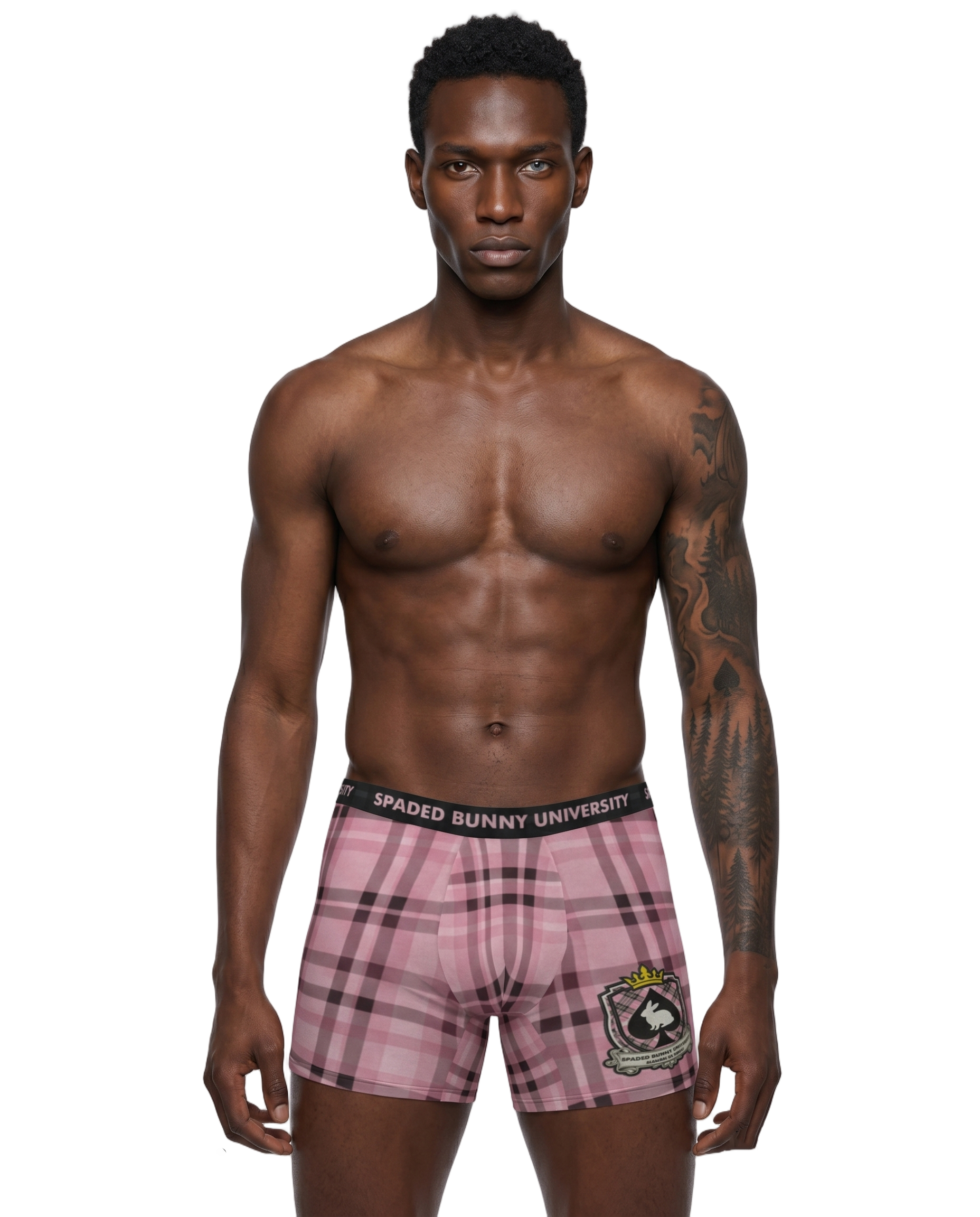 boxer1_MODELIA_MM_1_20260422_420956.png