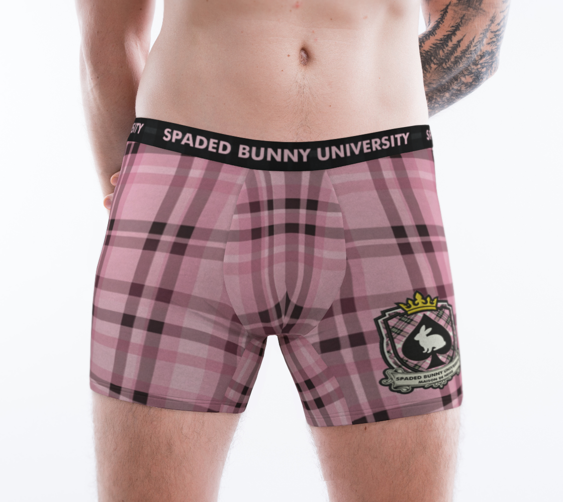 boxer1.png