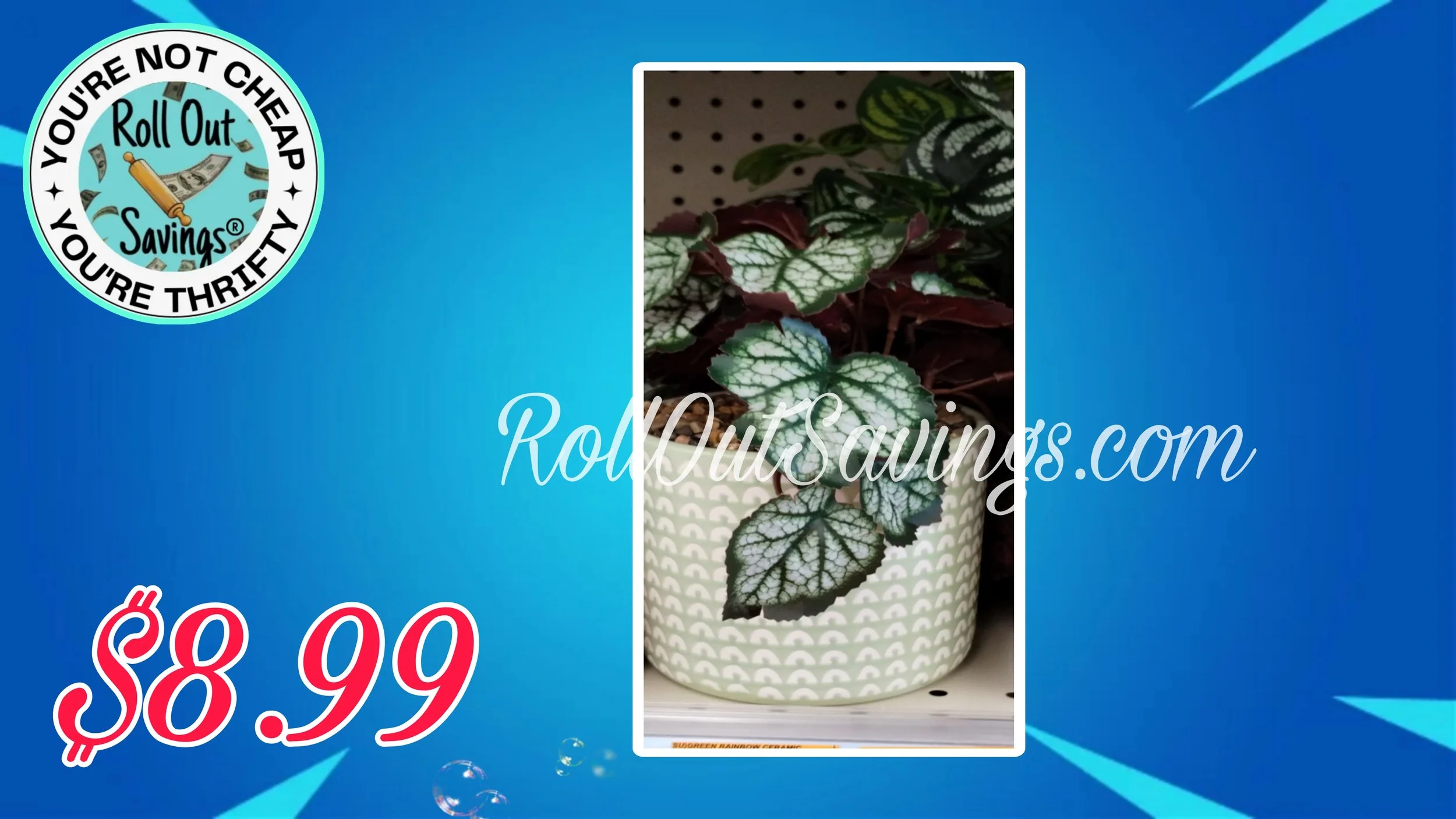 Picsart_23-08-28_13-07-59-109.jpg
