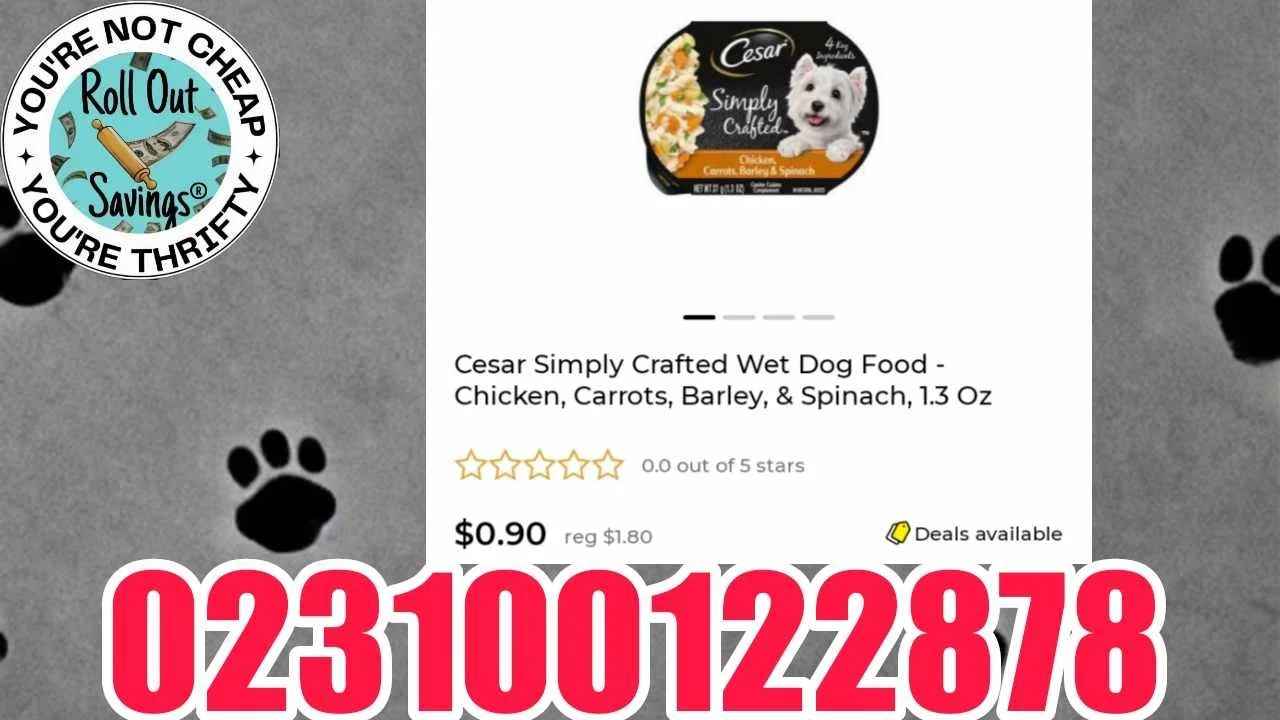 436570567_817415873159480_4158417303644244659_n.jpg