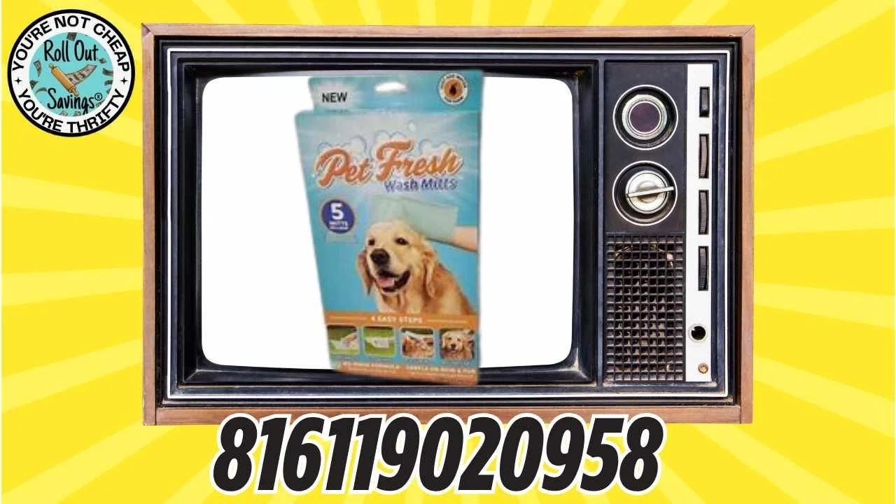 481374925_1154443183085456_3095883112433222914_n.jpg