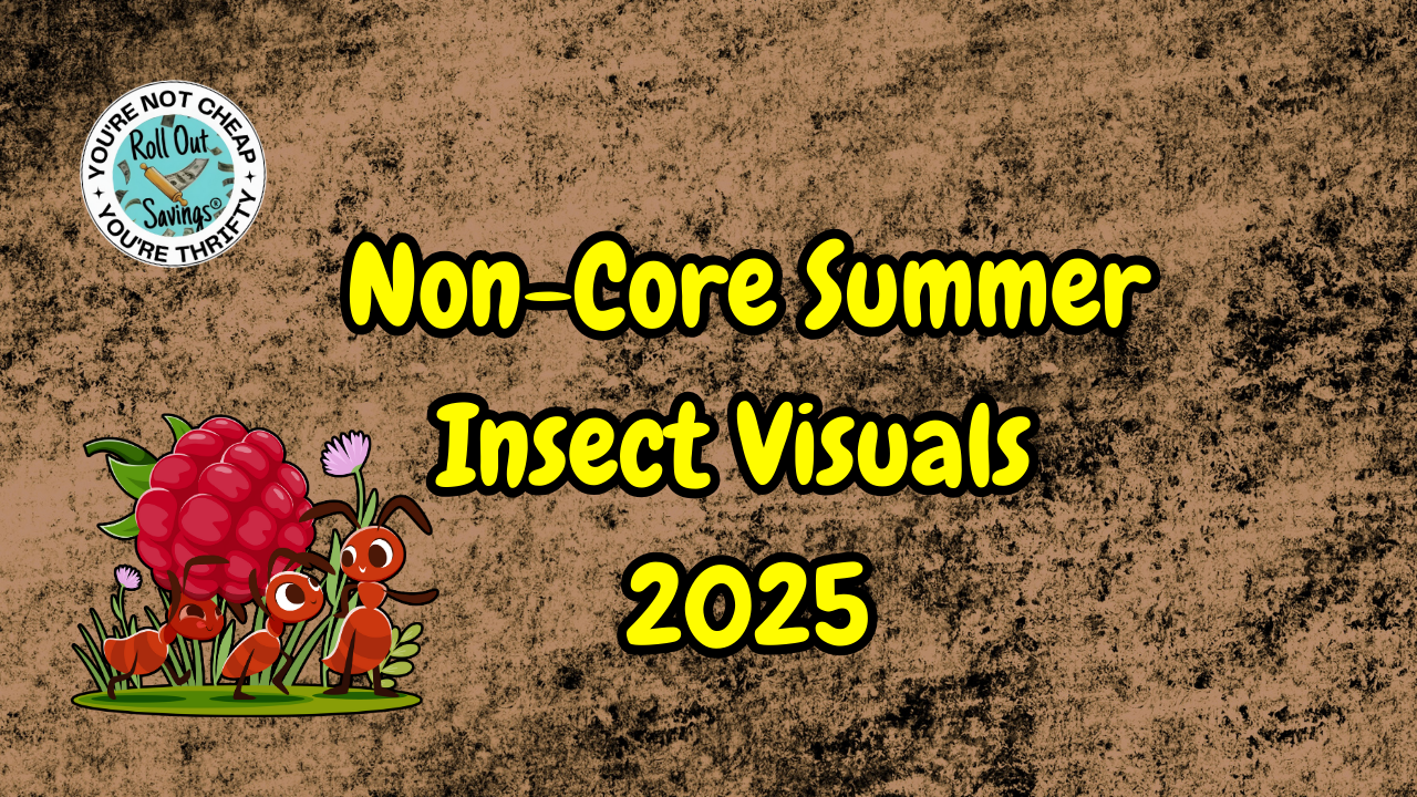 Non-Core Summer Insect Visuals 2025