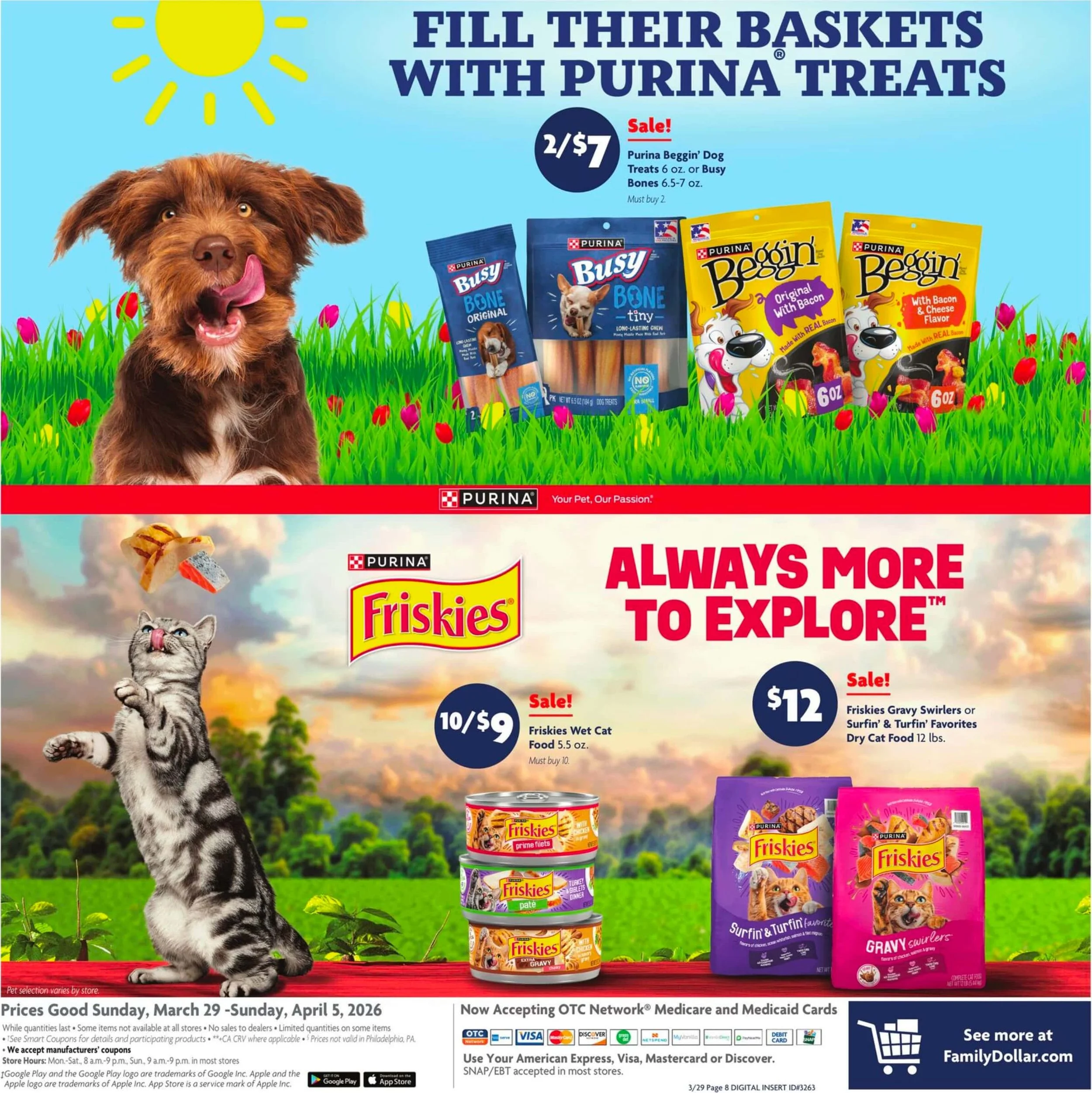 Family Dollar Ad 13.jpg