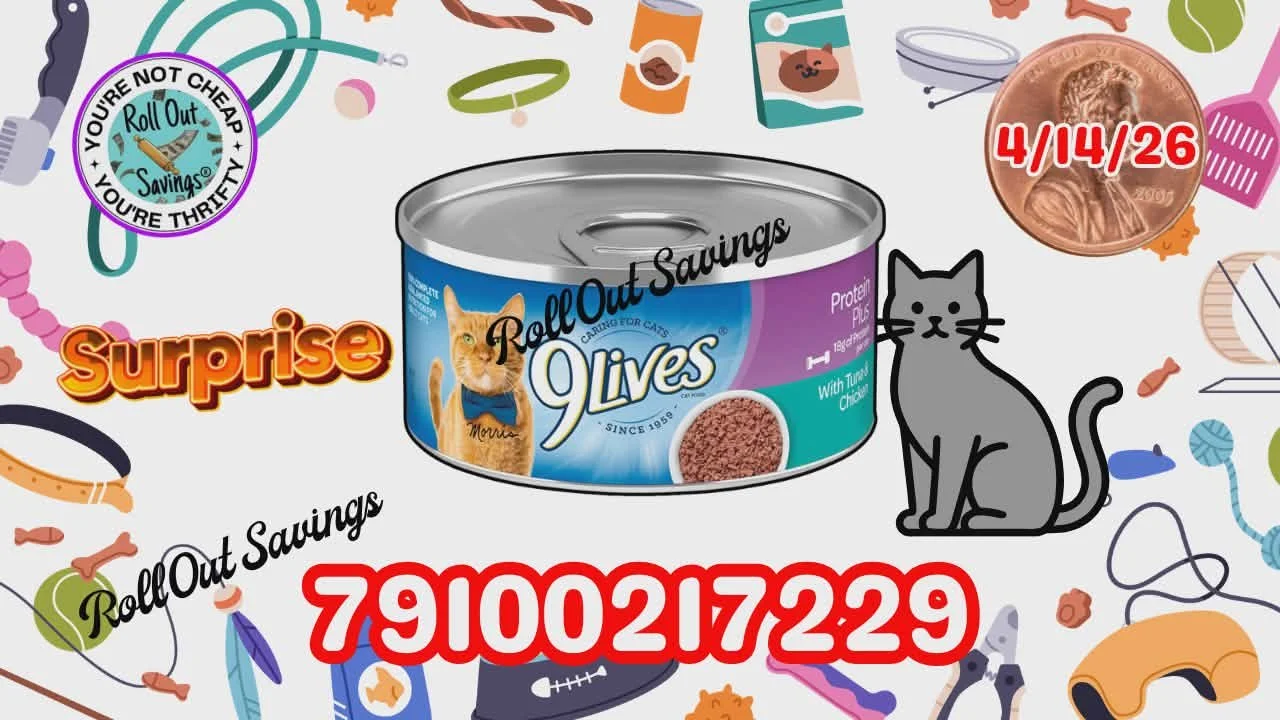 667027529_1794681725251091_2816907509333930909_n.jpg