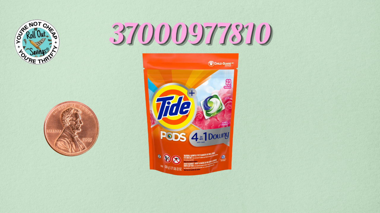 297.png
