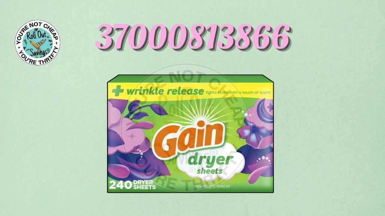 832632540_2232420517301045_3684425670293565537_n.jpg