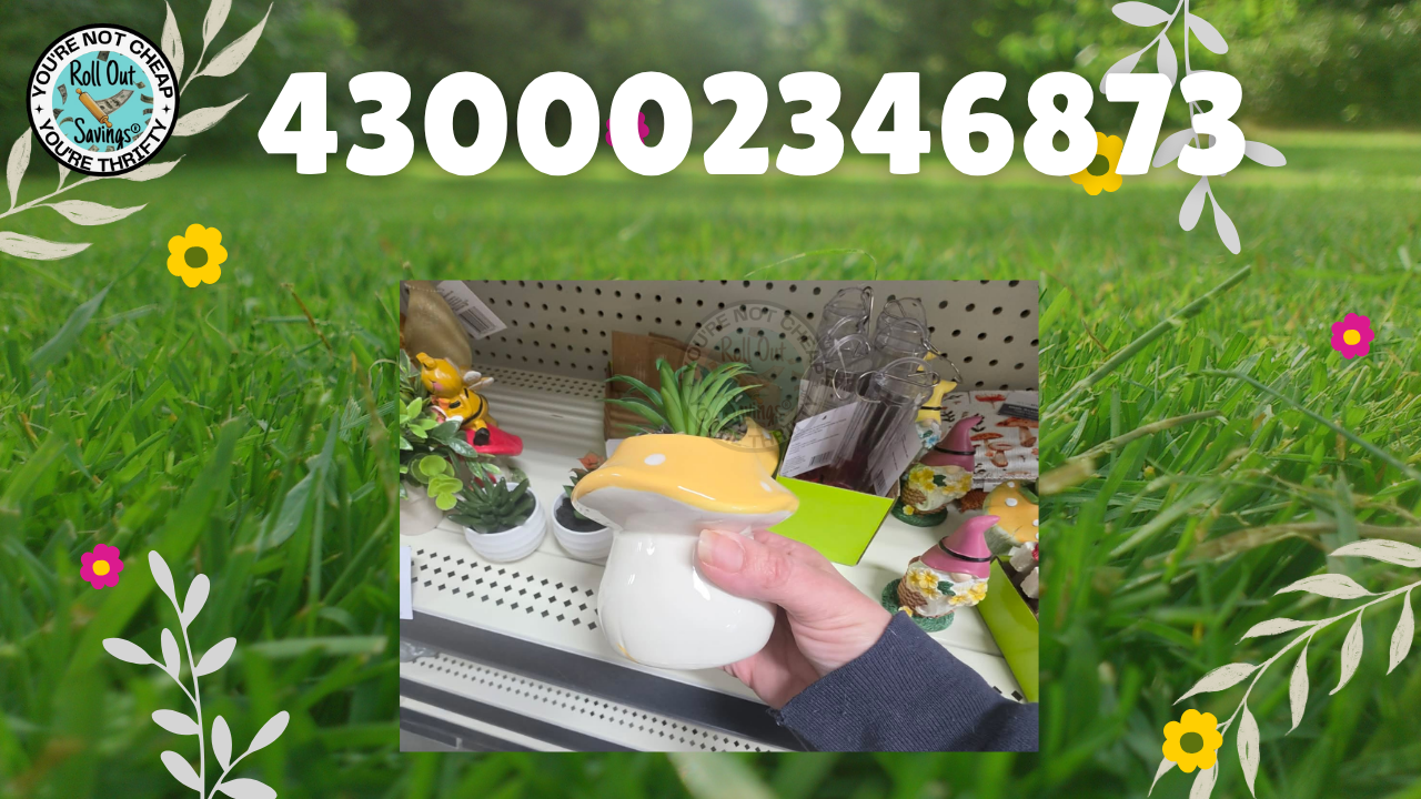 16.png
