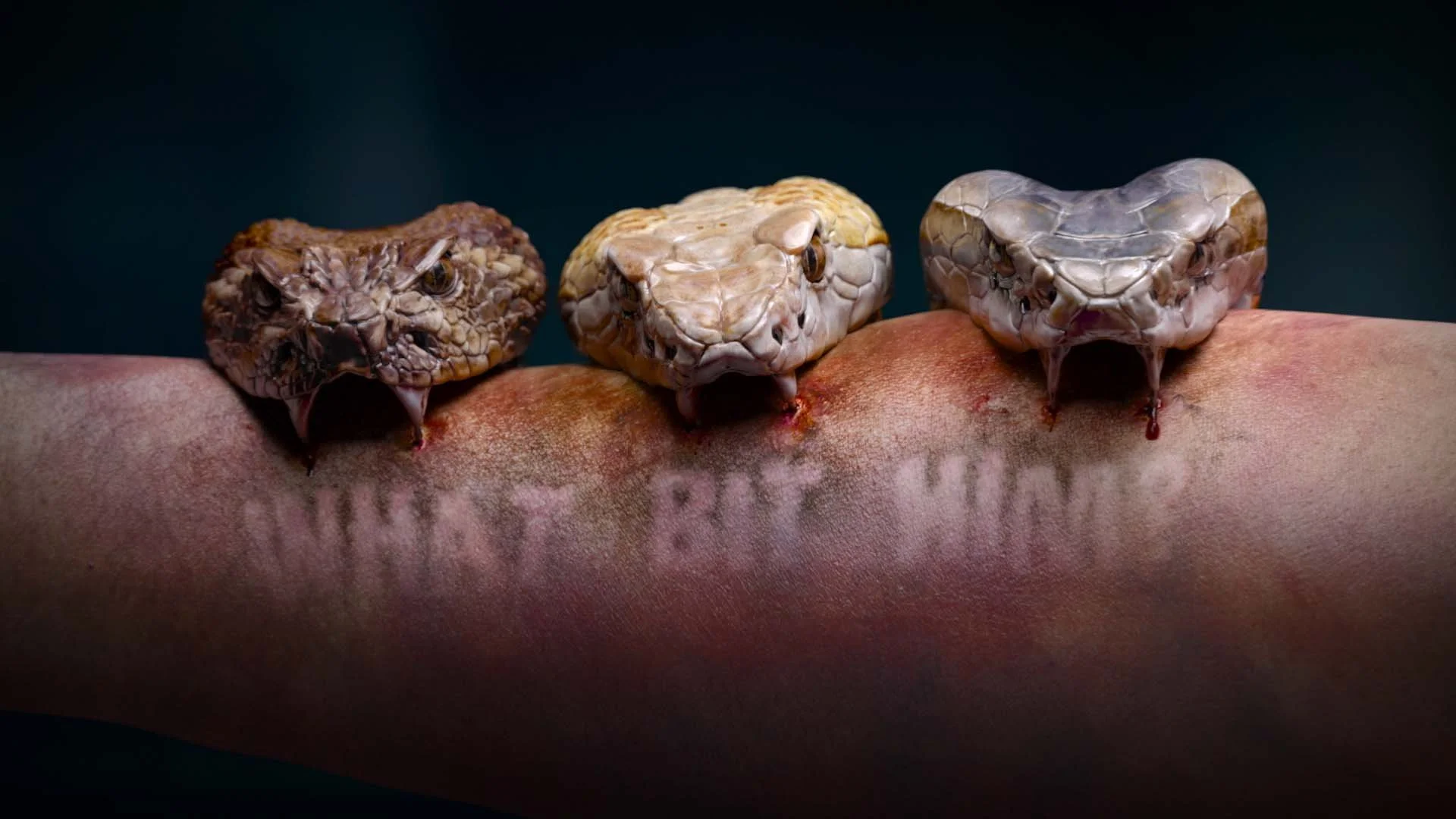 SNAKES Render_sm.jpg