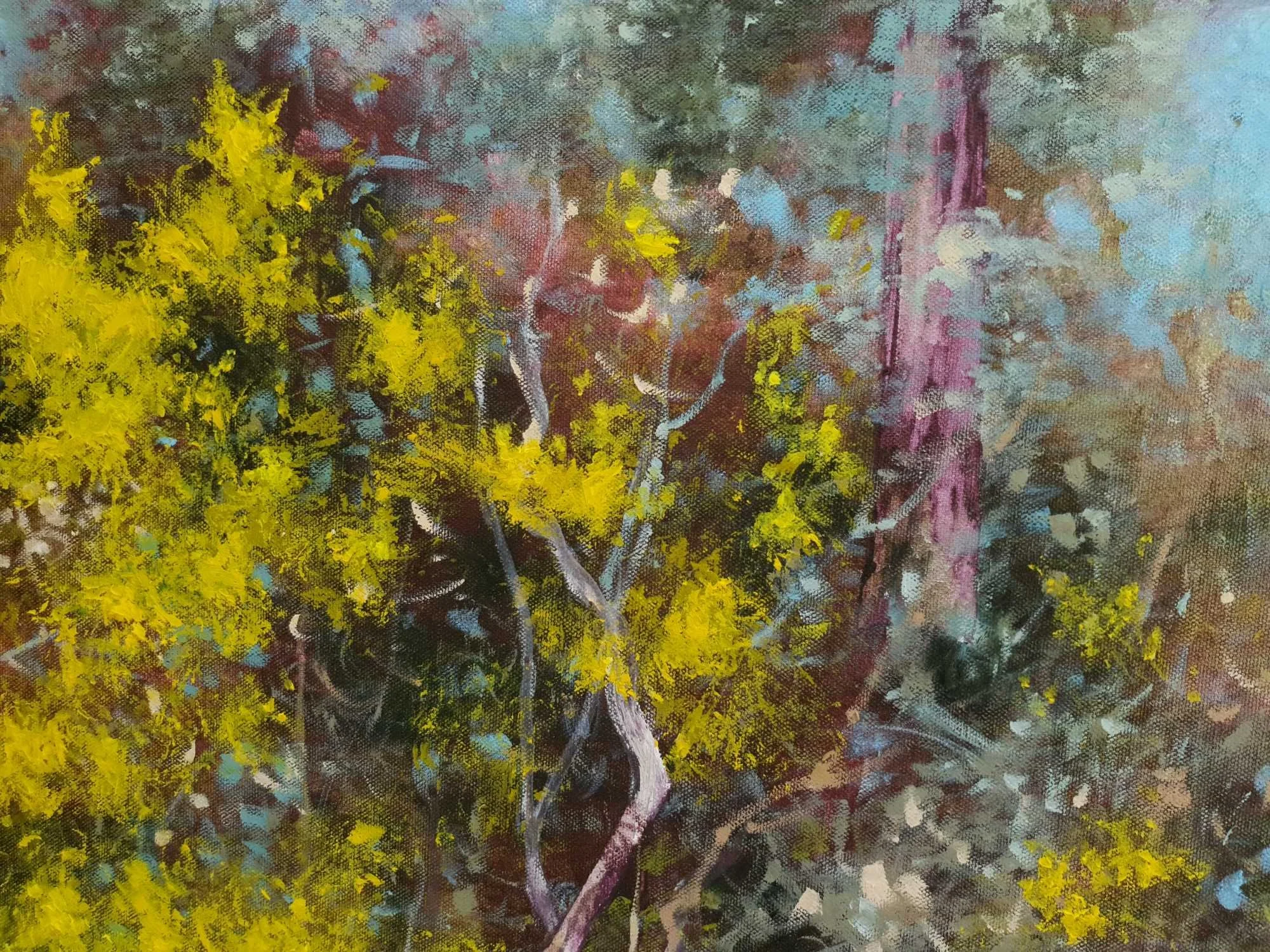 20240919_095516 lowres.jpg