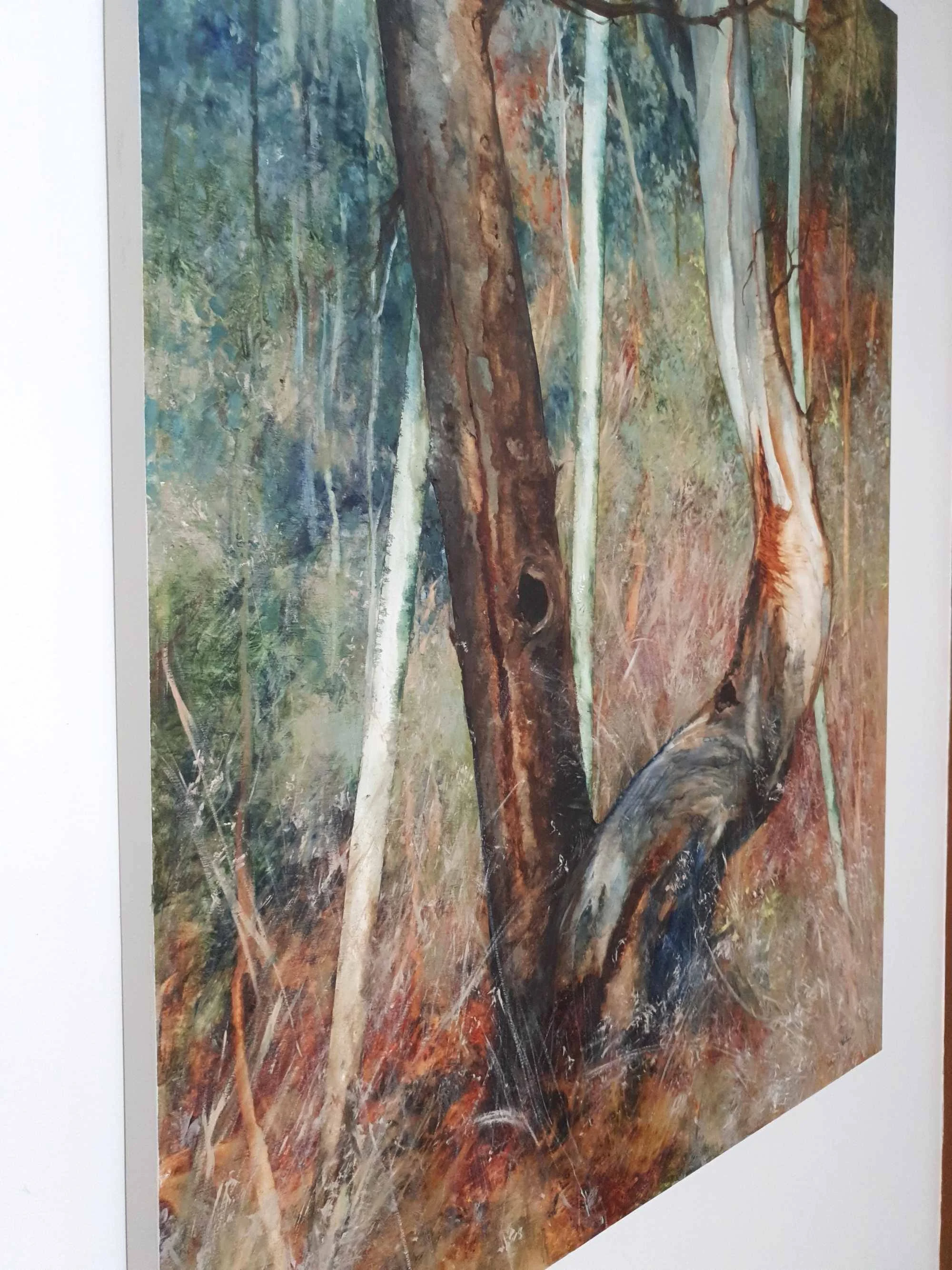 Hollows 9 antechinus_victoria pynt_angle low.jpg