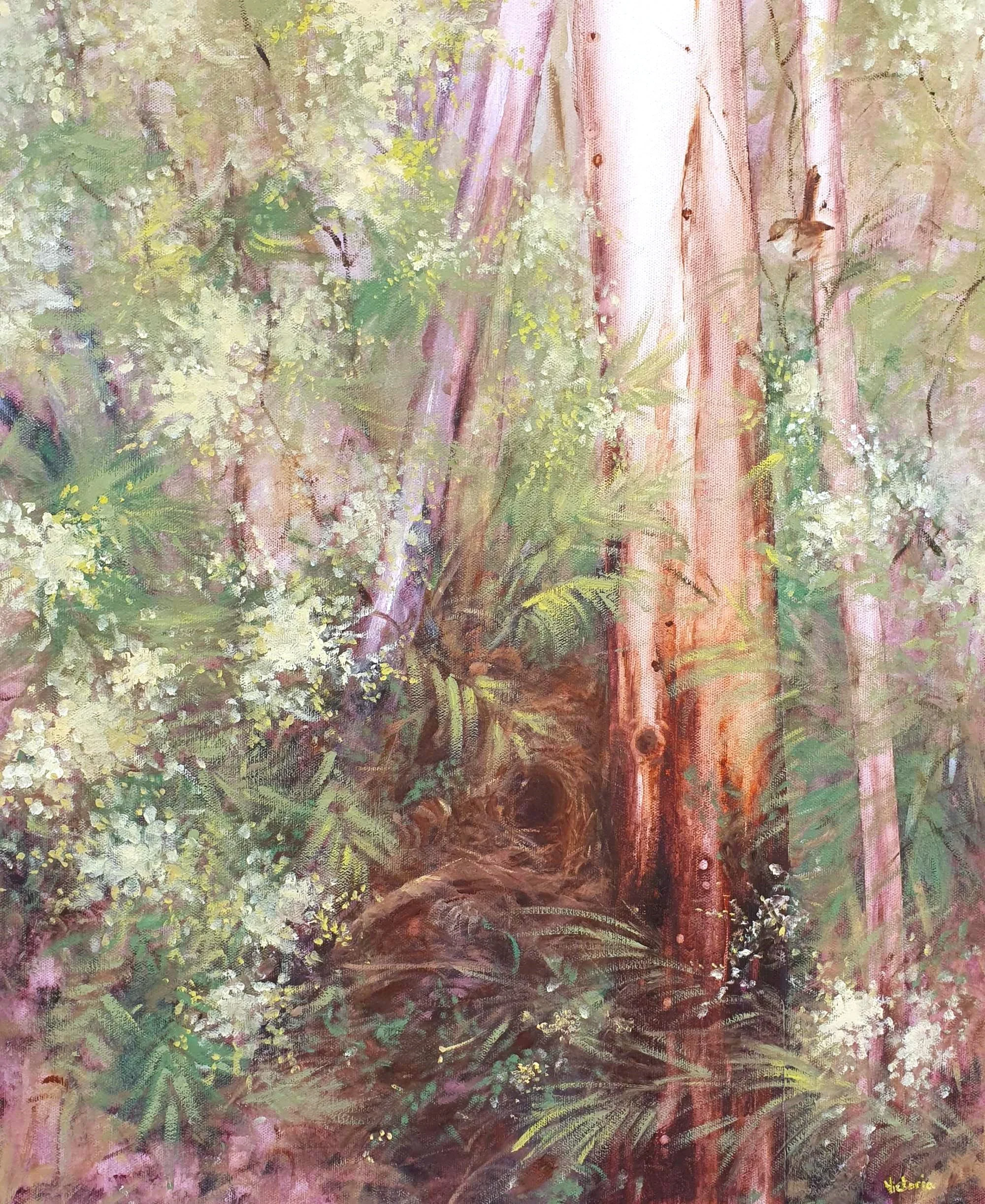 wattle and wren_victoria pynt_lowres.jpg