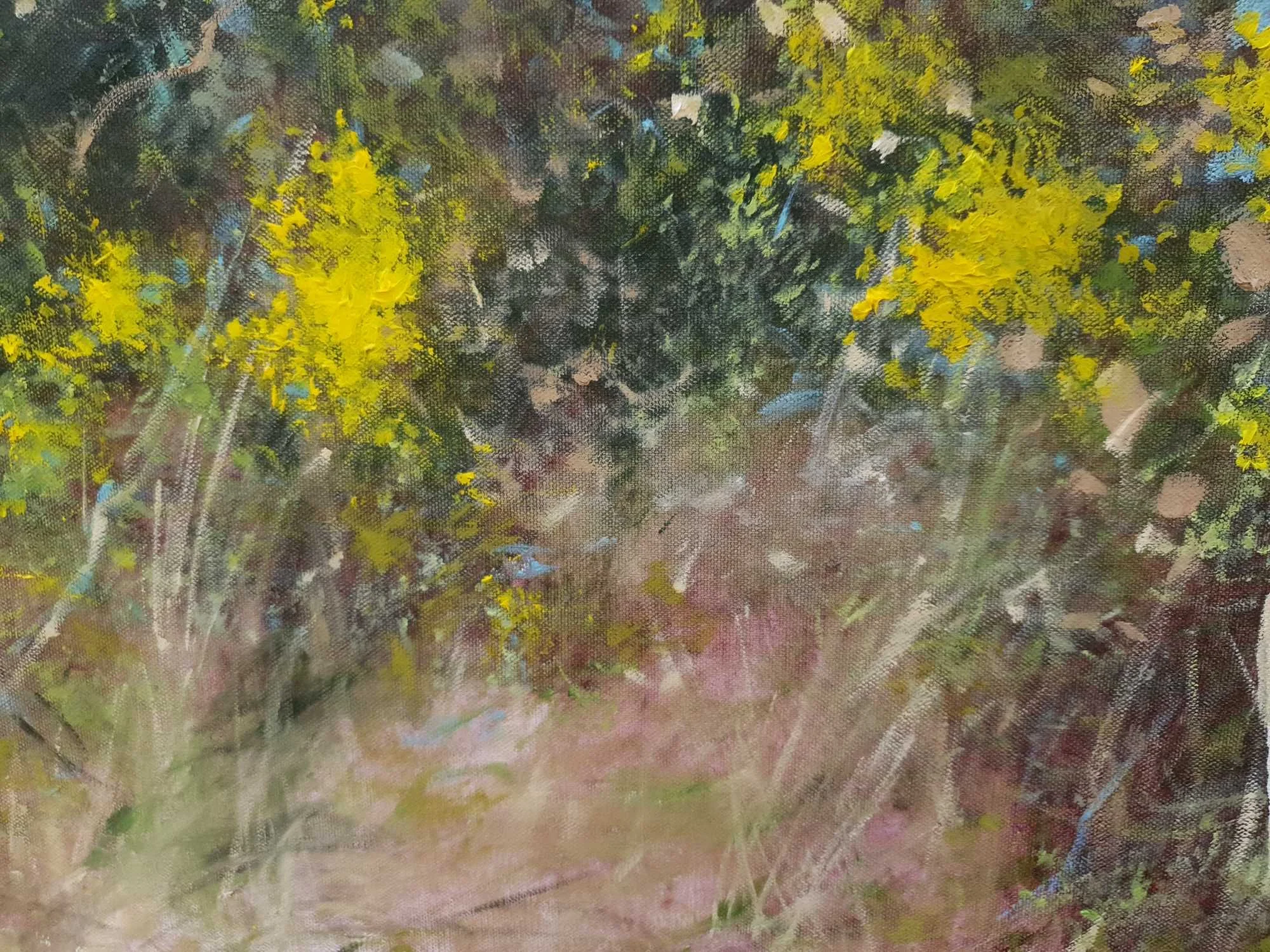 20240919_095537 low.jpg