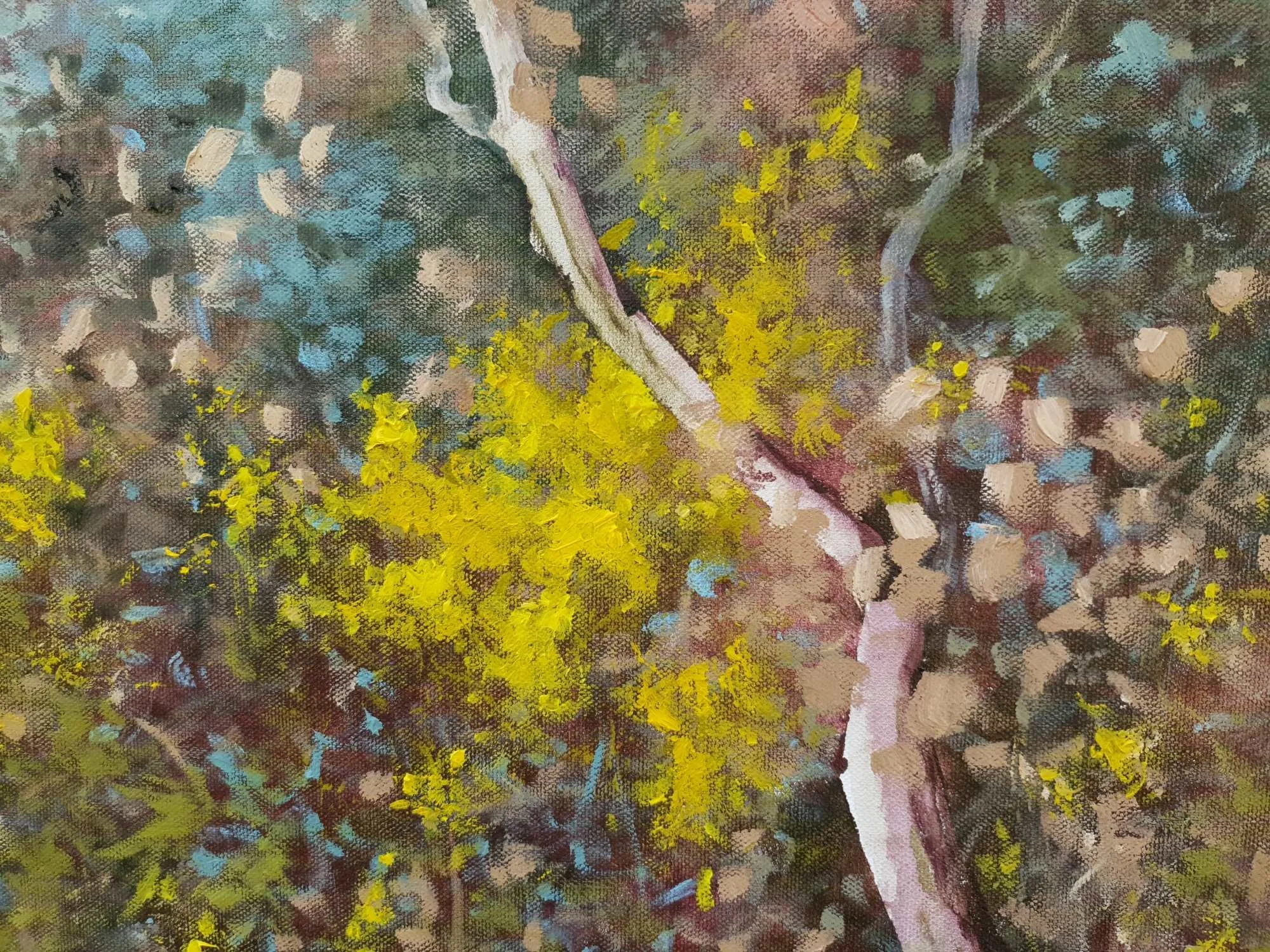 20240919_095532 low.jpg