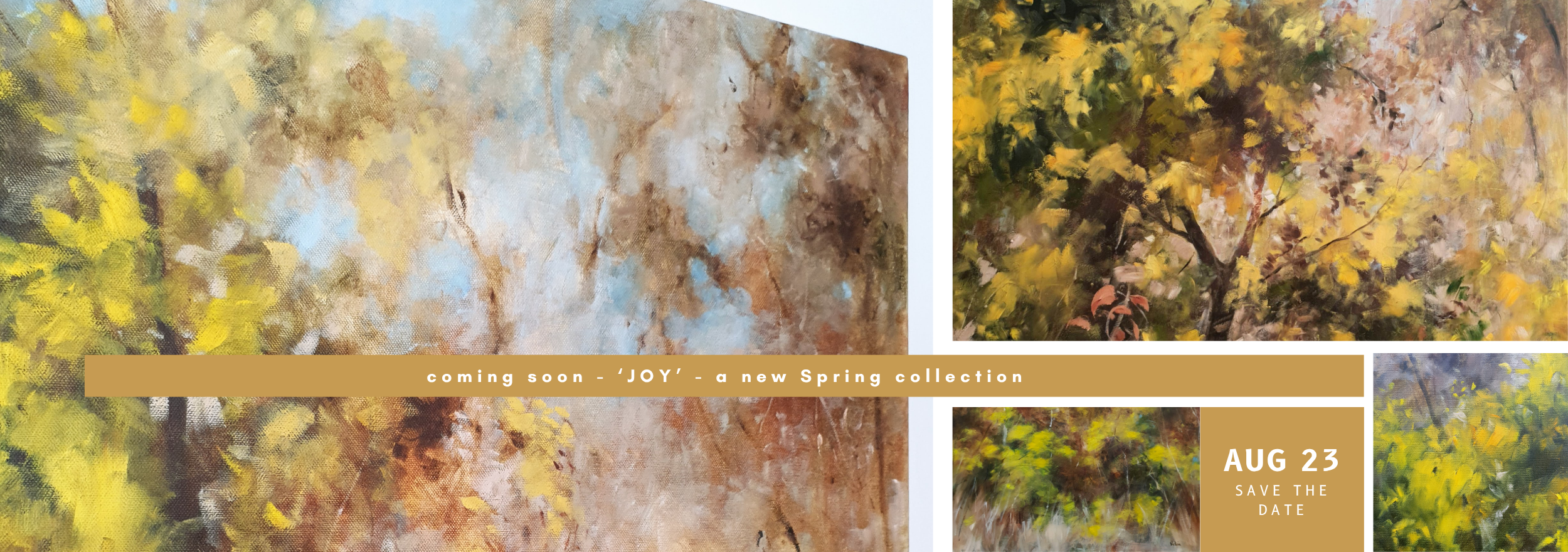_WEBSITE BANNER - coming soon (2500 x 880 px).png