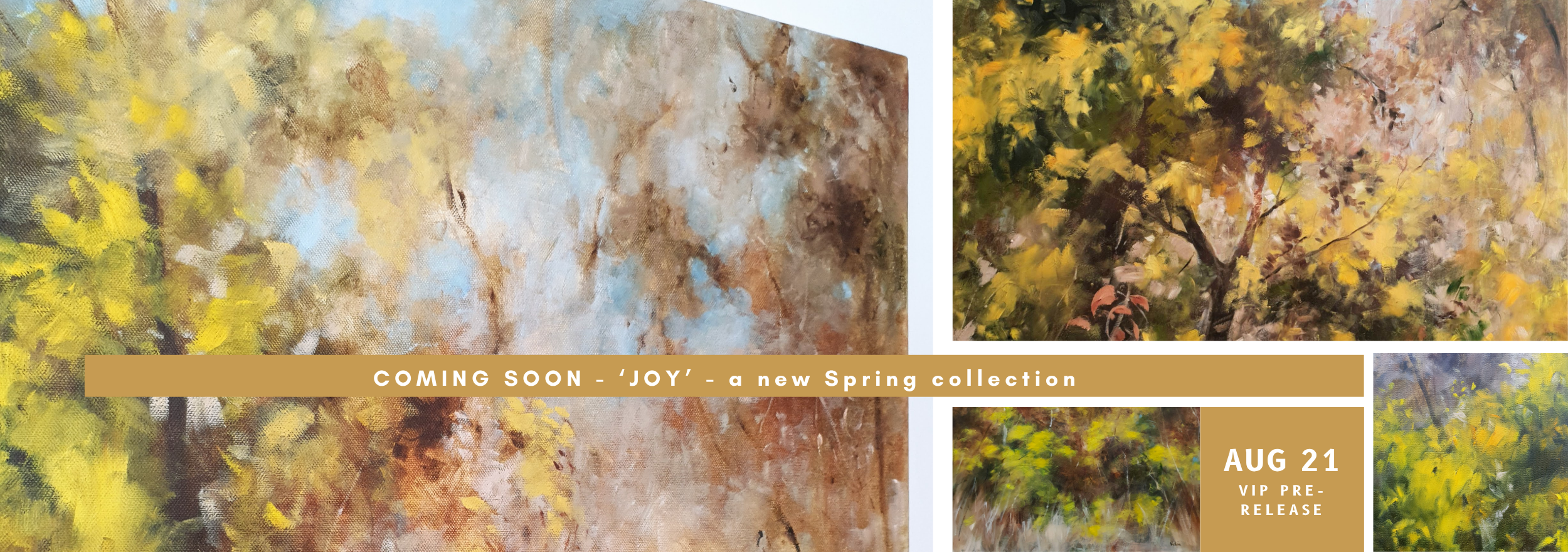 _WEBSITE BANNER - coming soon (2500 x 880 px).png