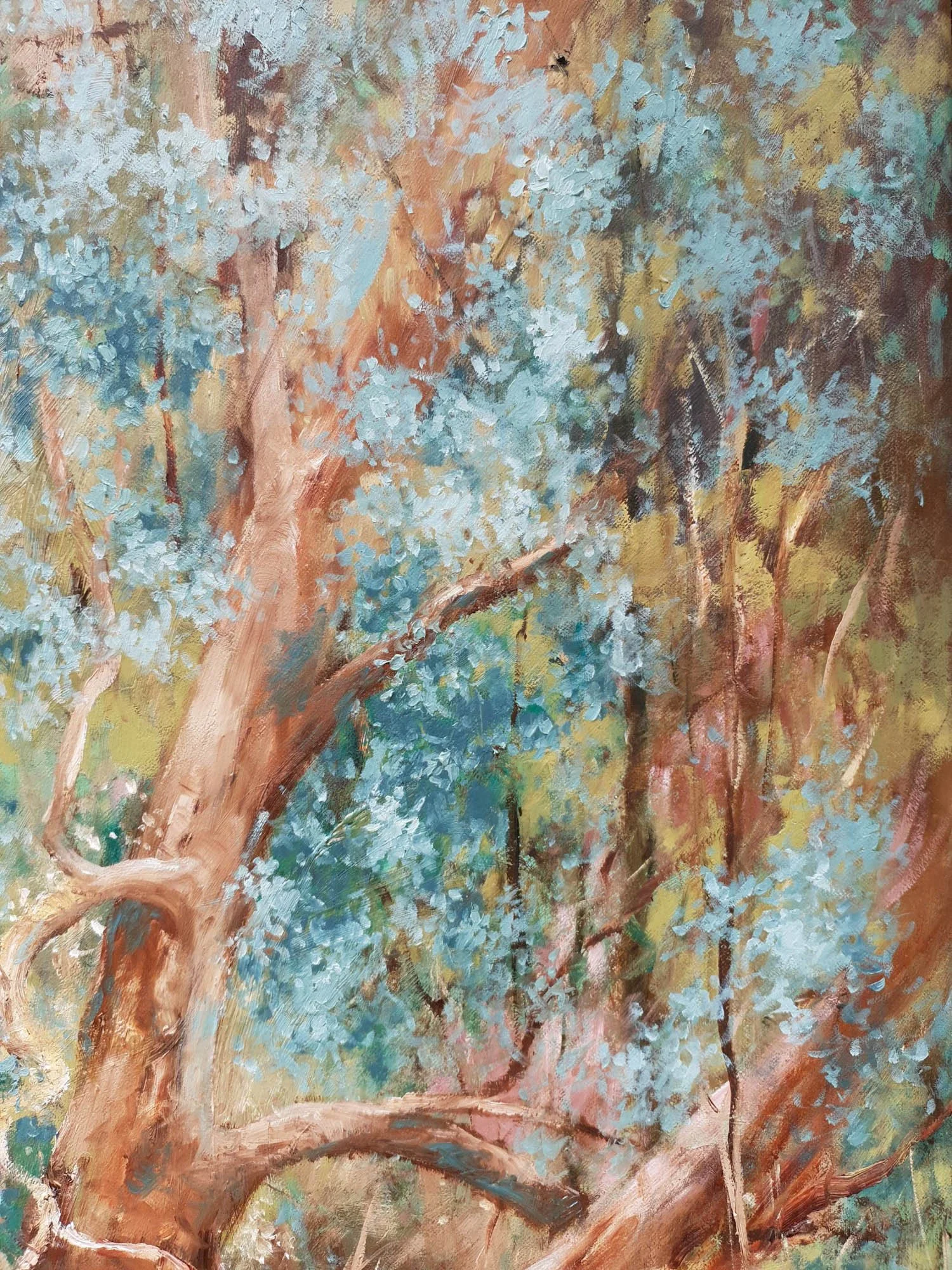 possum tree_victoria pynt_detail 1 lowres.jpg