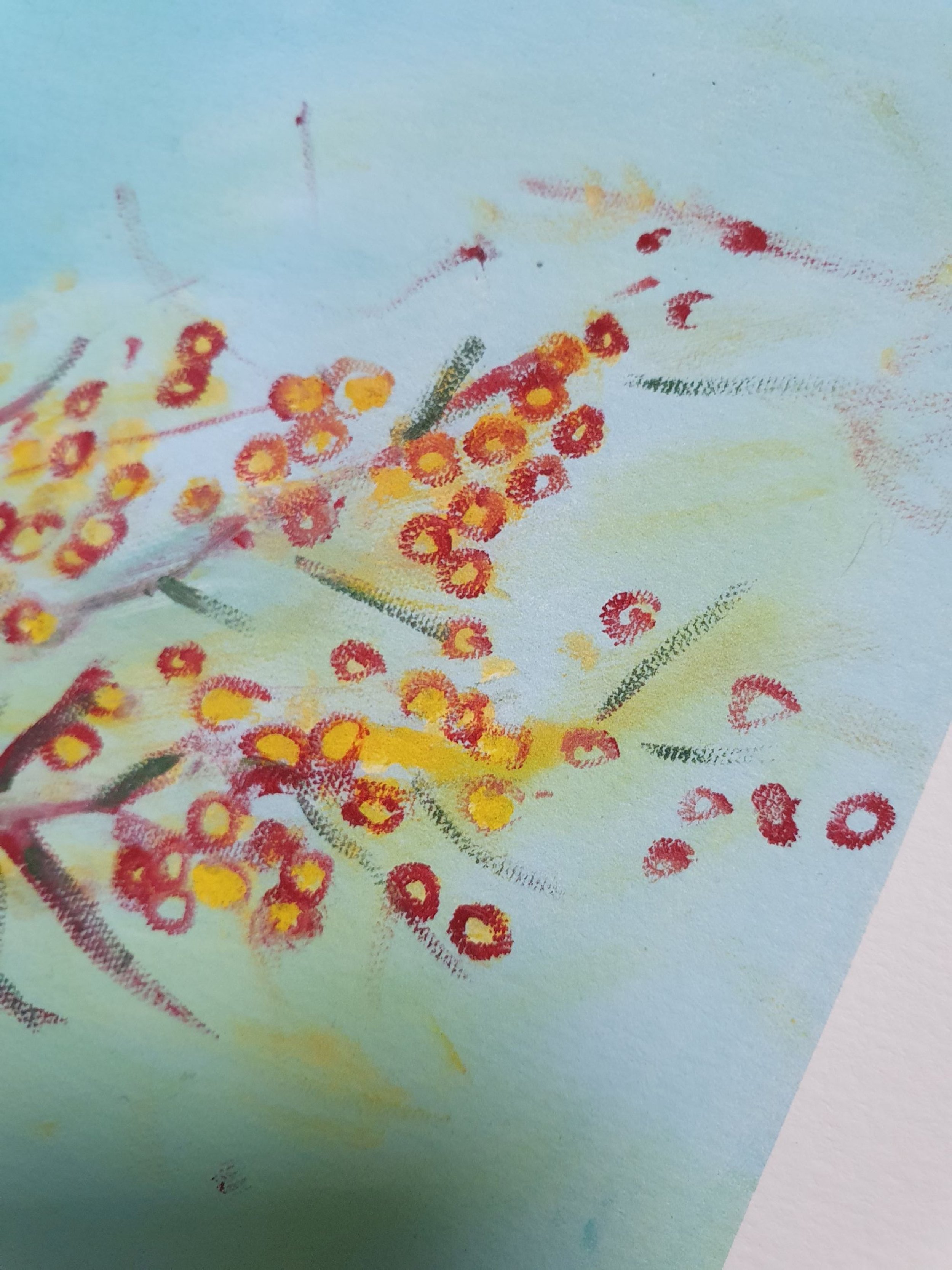 apricots with wattle print detail 2.jpg