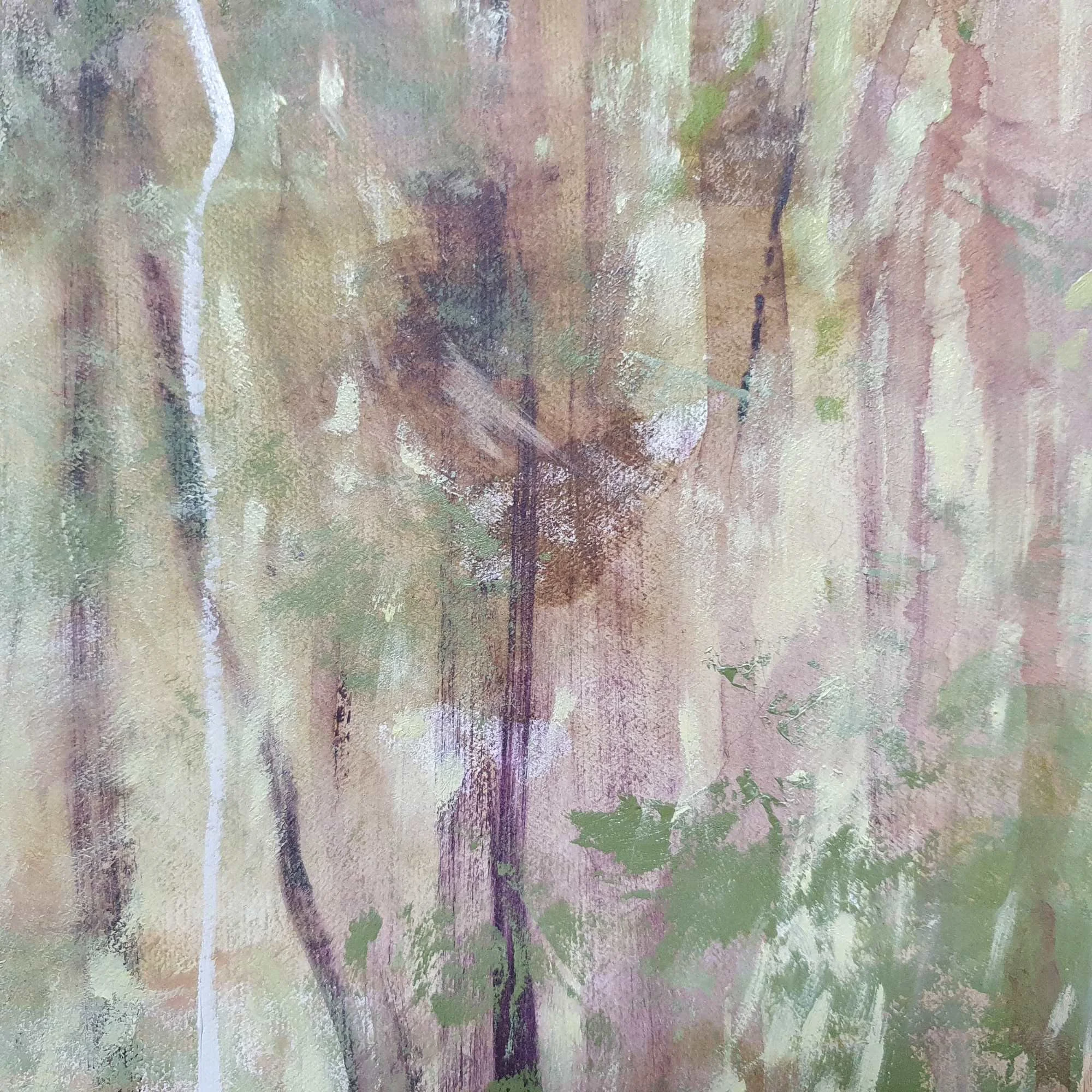 20230504_095614 low.jpg