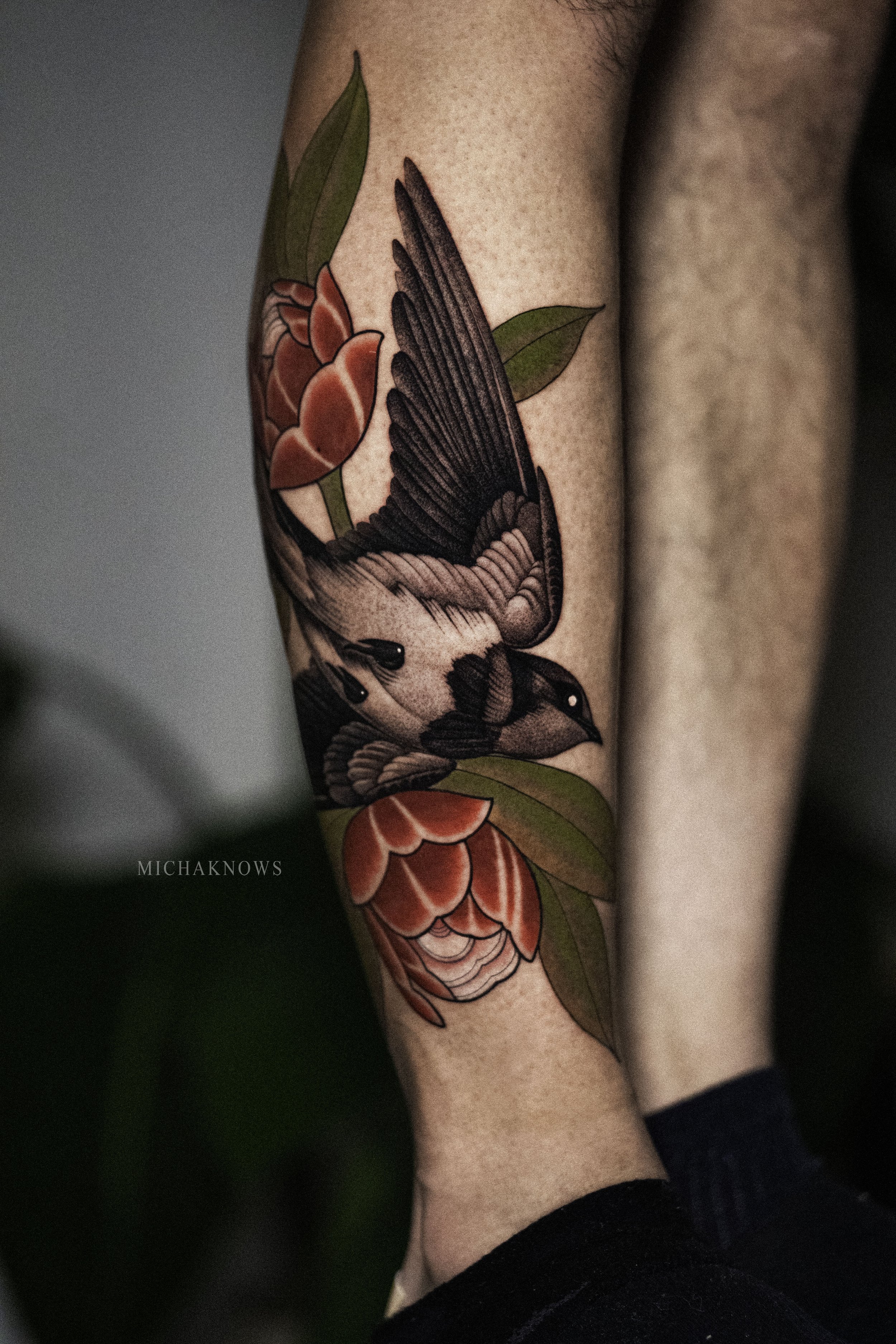 DSC09578-Edit copy.jpg