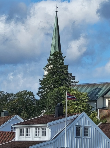 Sprossa om Lillesand: Mener du at vern er til hinder for utvikling?