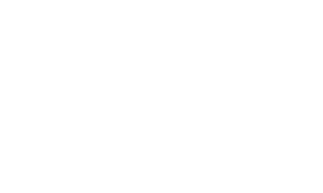 Laviva Flamenco