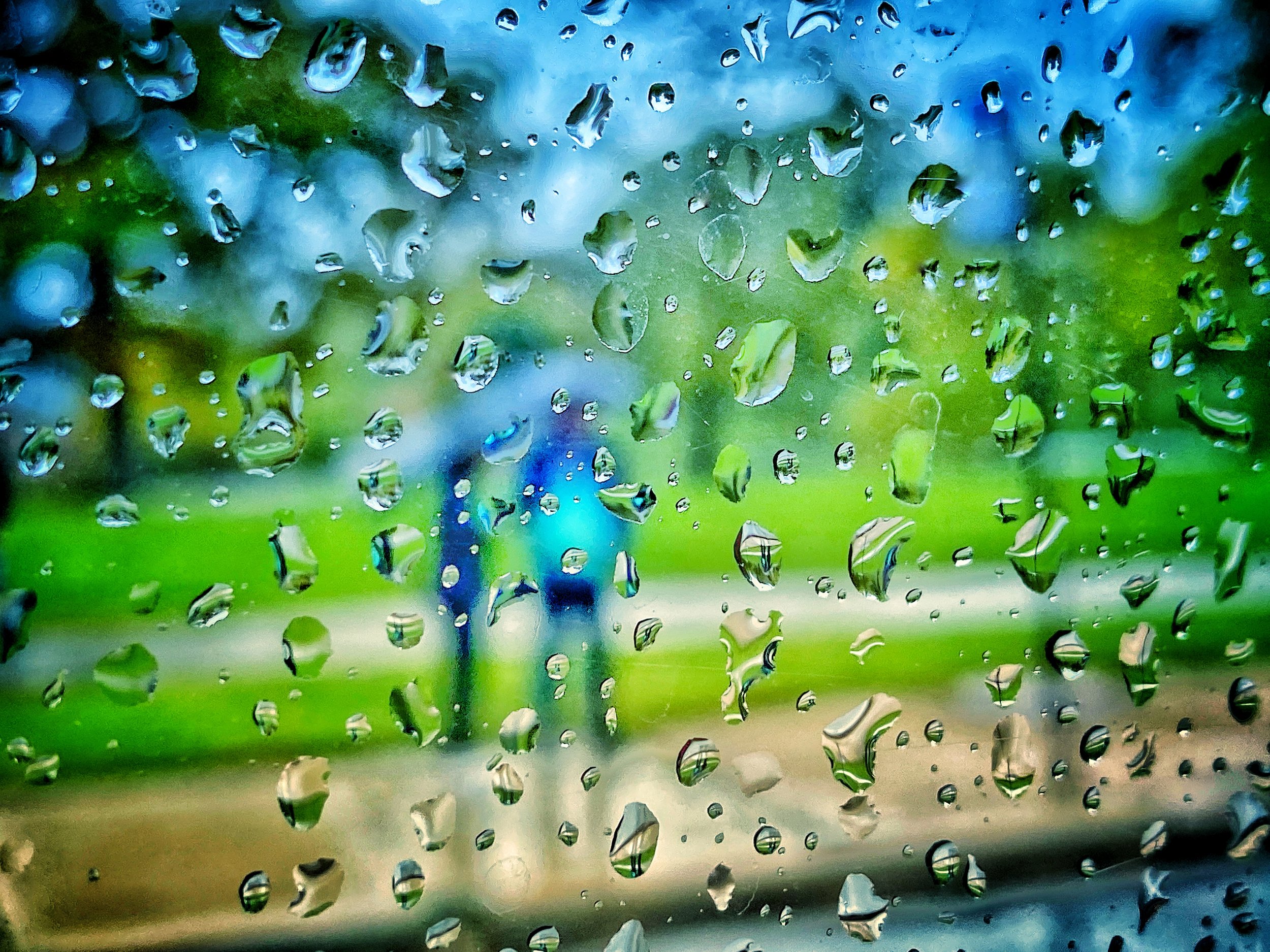 Couple Walks in the Rain