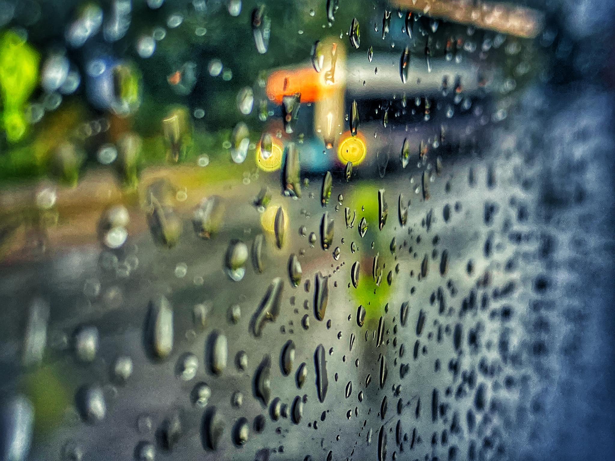 Bus Stop In The Rain