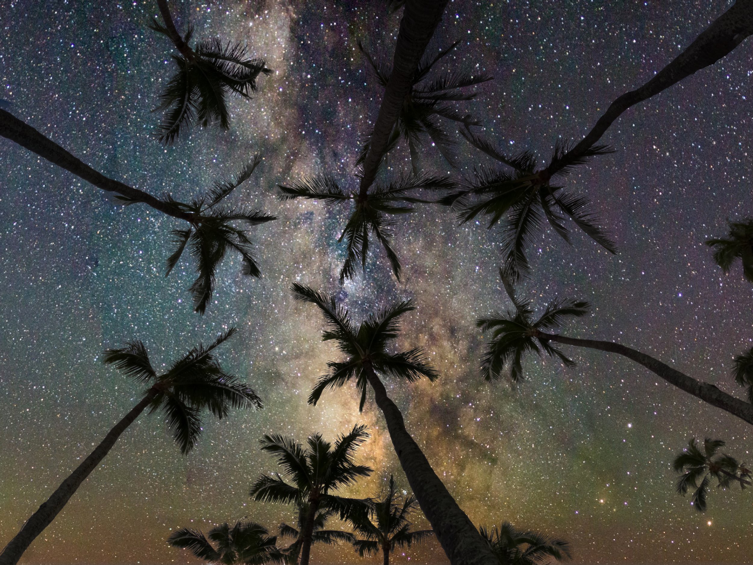 Palms Galaxy.jpeg