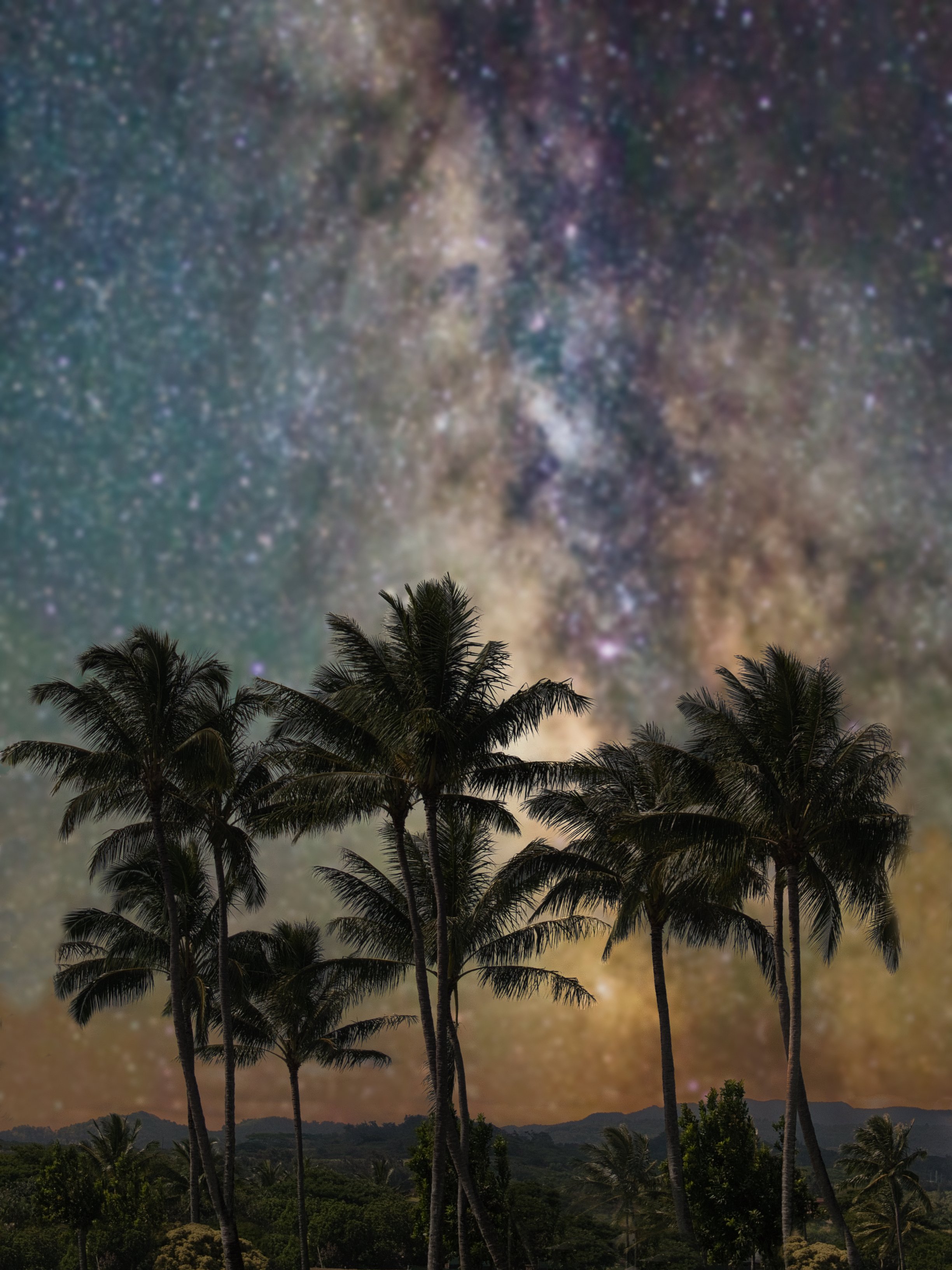 Palms of Poipu Under the Milky Way