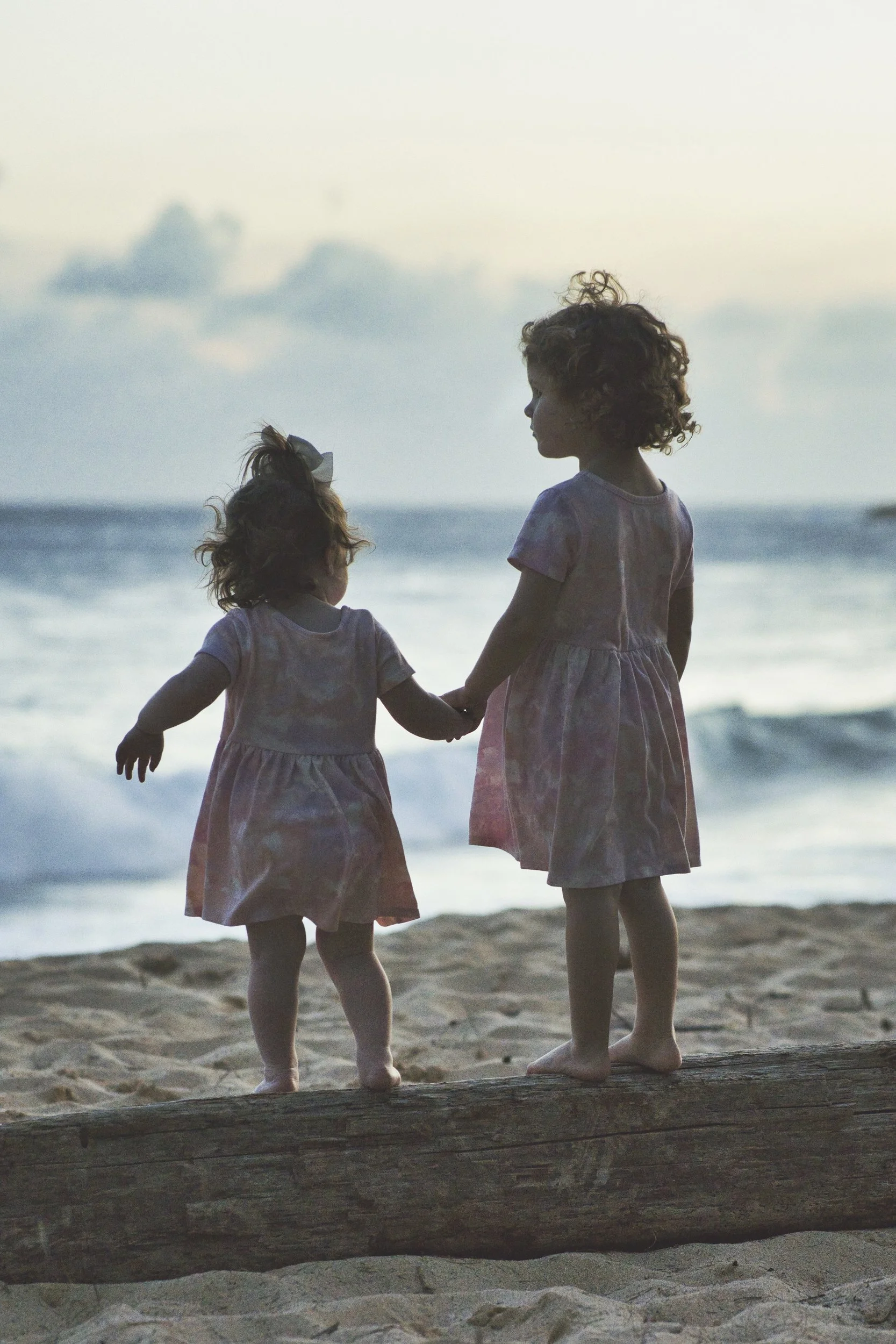 Two little sisters holding hands while standing on driftwood and watching the ocean on Kauai.