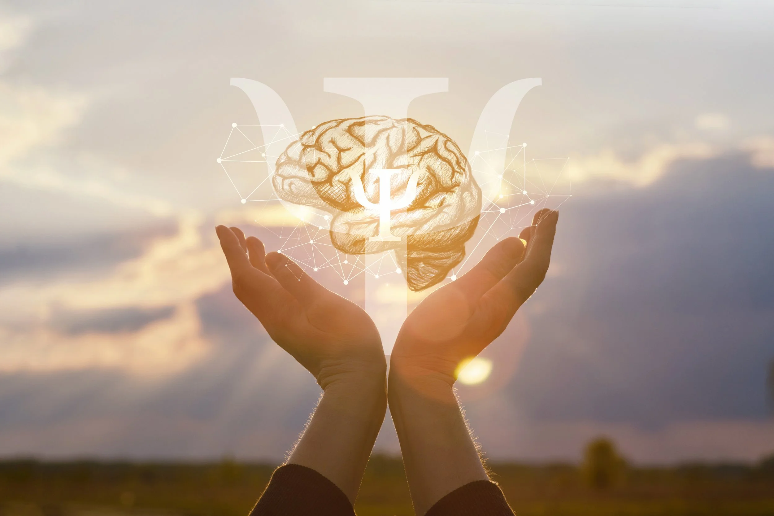 Stress, Health &amp; Your Brain: Limbic Looping