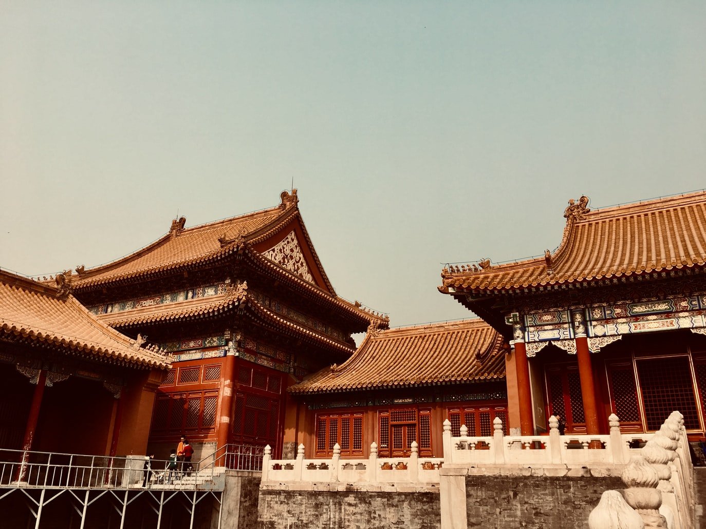 photo-1630121007672-b1c873f066ce.jpeg