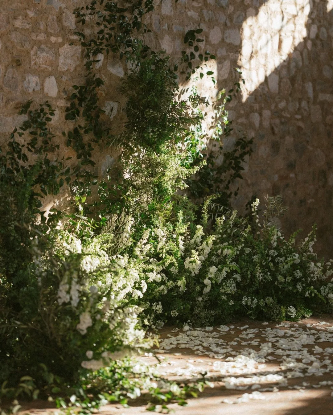 An overgrown garden-style wedding ceremony with lush greenery, delicate blooms, and petals scattered down the aisle.

Planner: @audreywoodevents @stormhulsebus
Venue: @silverleafclub
Photographer: @bushwhacked
Videographer: @dallascampbellfilms 

#we