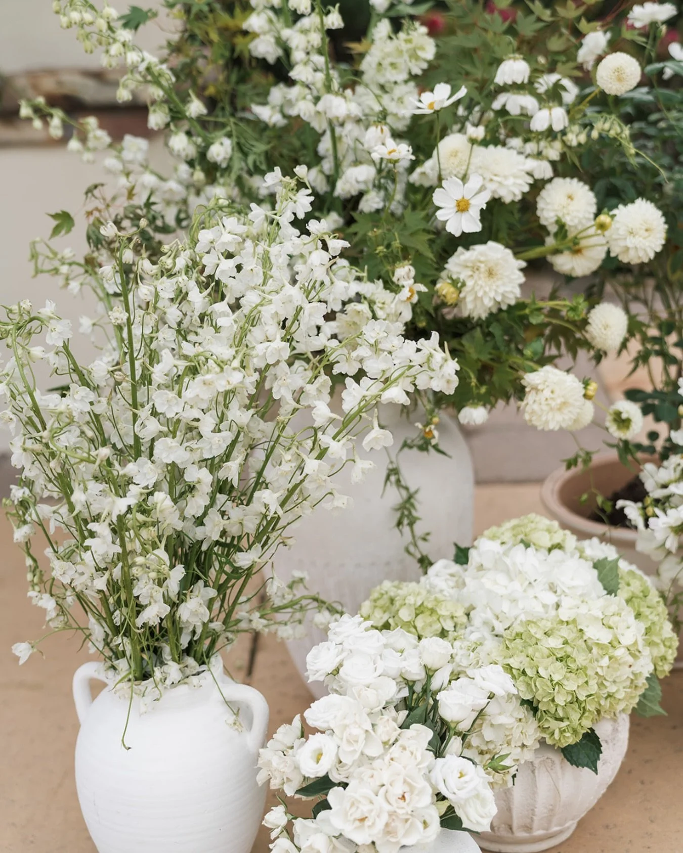 Delicate delphinium, garden roses, cosmos, and hydrangea all coming together in the dreamiest neutral palette. 

Planning &amp; Design: @chererosalieweddings
Photography: @ashleyraephotography
Venue: @omnimontelucia
Florals: @floralsbykendra