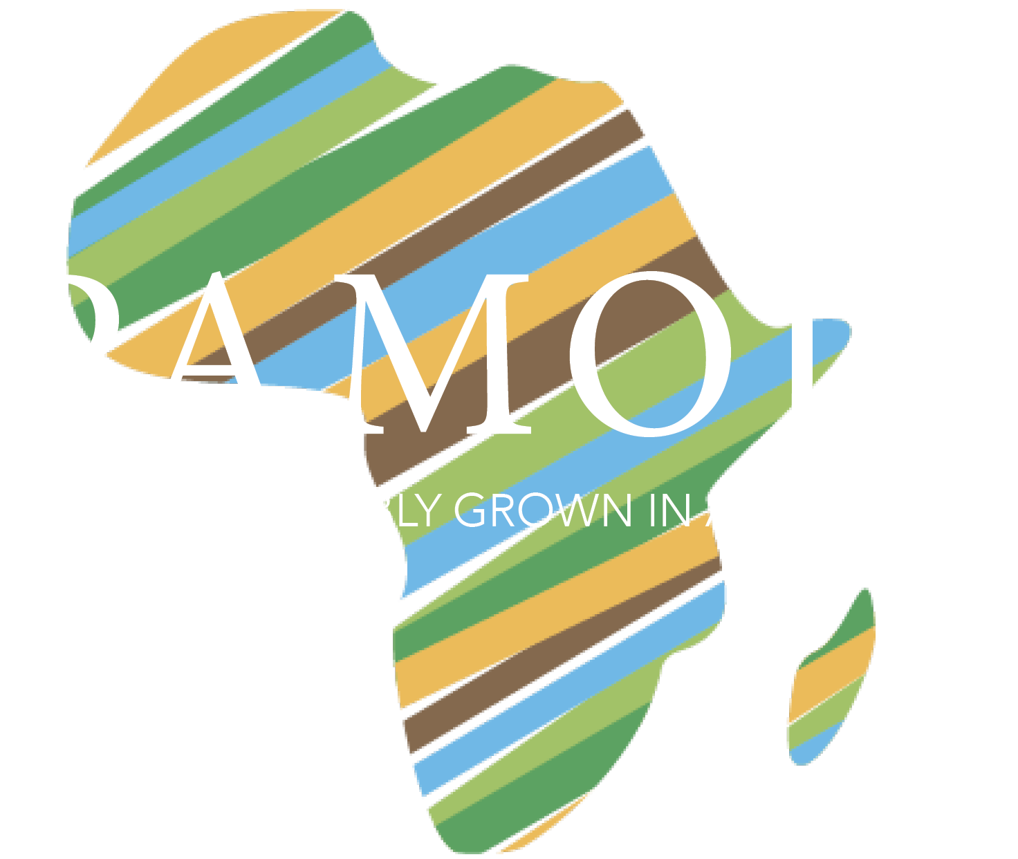 Pamoja - Moving the macadamia industry towards the highest quality product with industry-leading sustainability. 