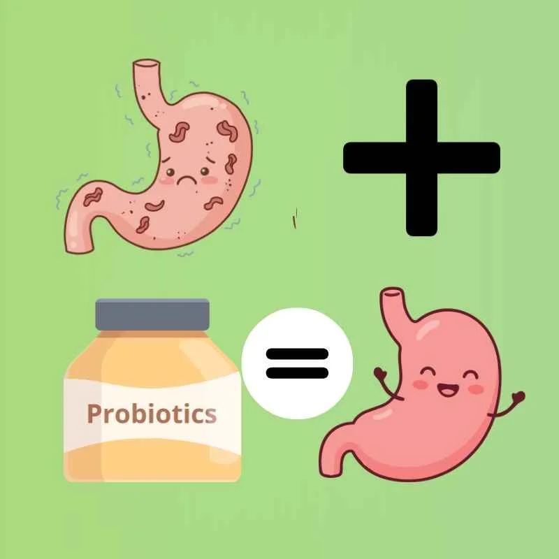 An unhappy stomach plus probiotics equals a happy stomach