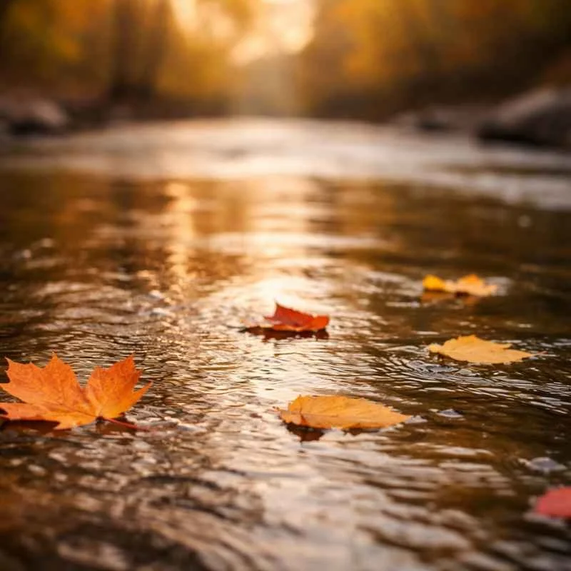 Staying positive with strategies that work: Part 1: Acceptance