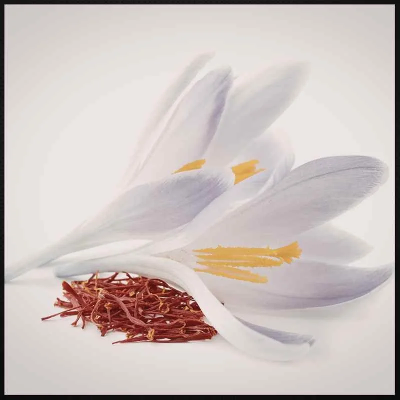 5 Ways that Saffron Can Help Cancer Patients