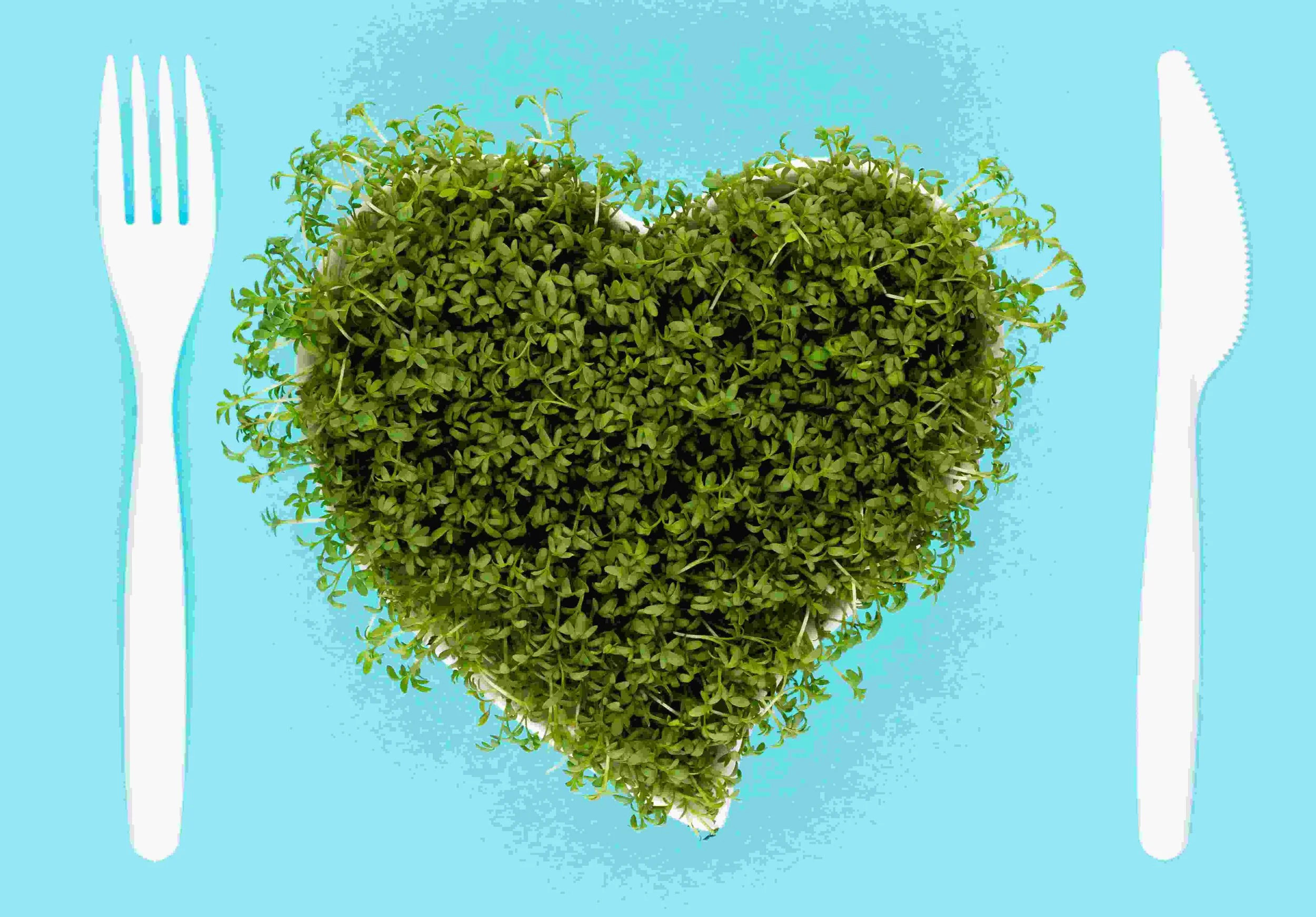 Heart-shaped pot containing broccoli sprouts, with a knife and fork on either side, on a blue background
