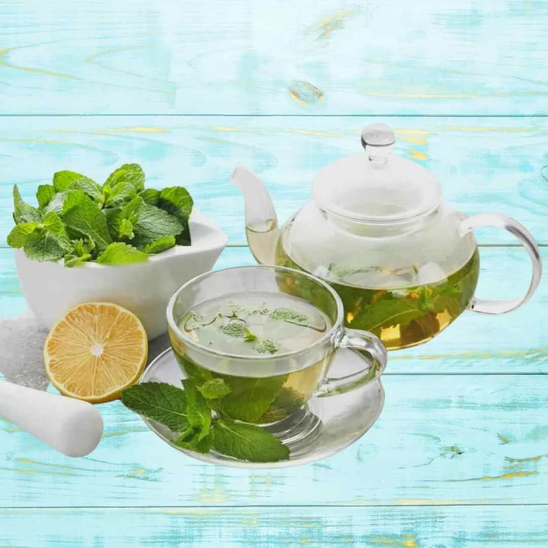 Does lemon balm help with anxiety and depression?