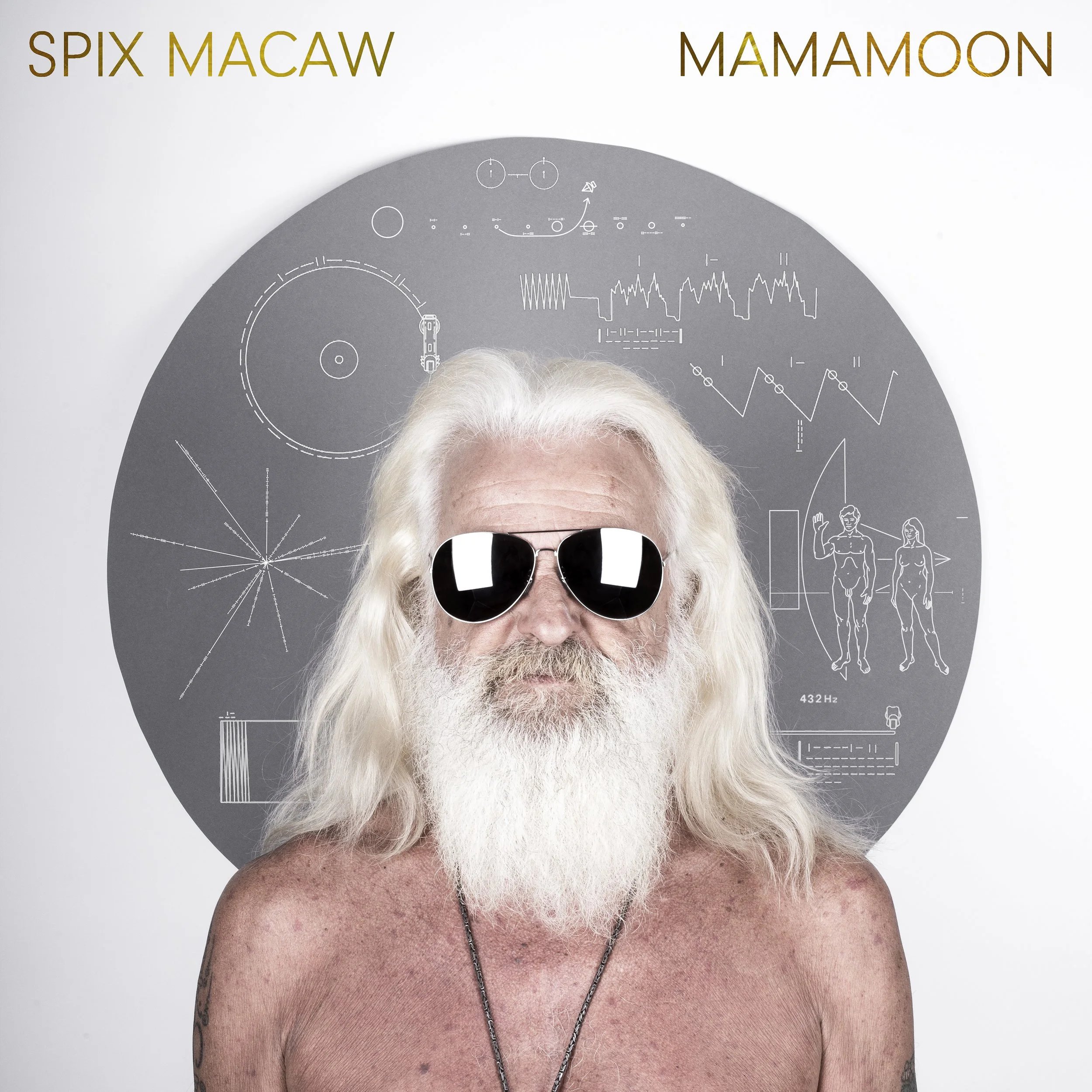 Spix Macaw - Mamamoon