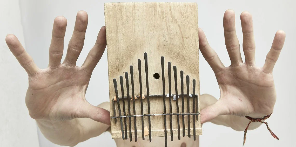 Spix Macaw HUES Music First Album