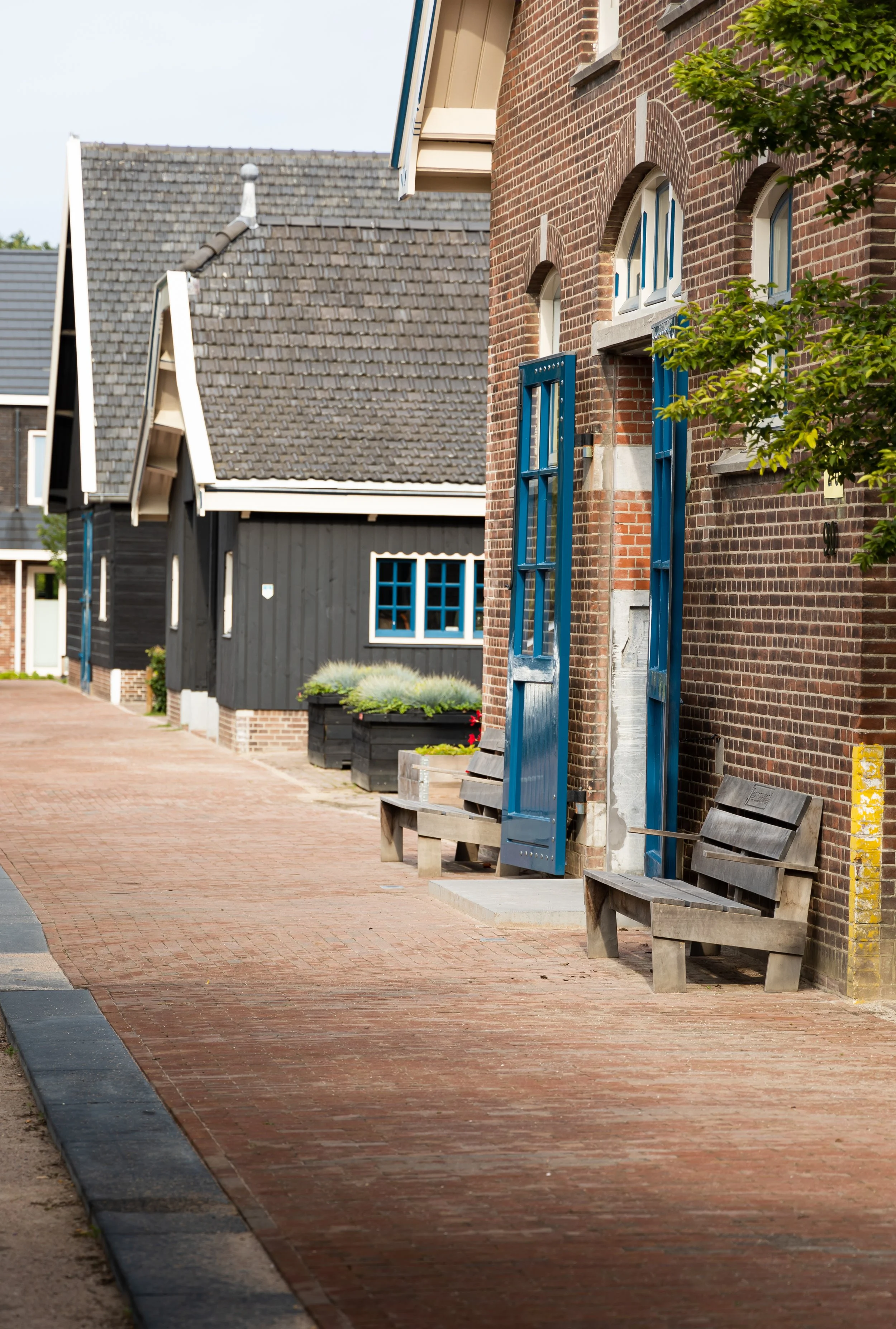 Mauritskazerene-5.jpg
