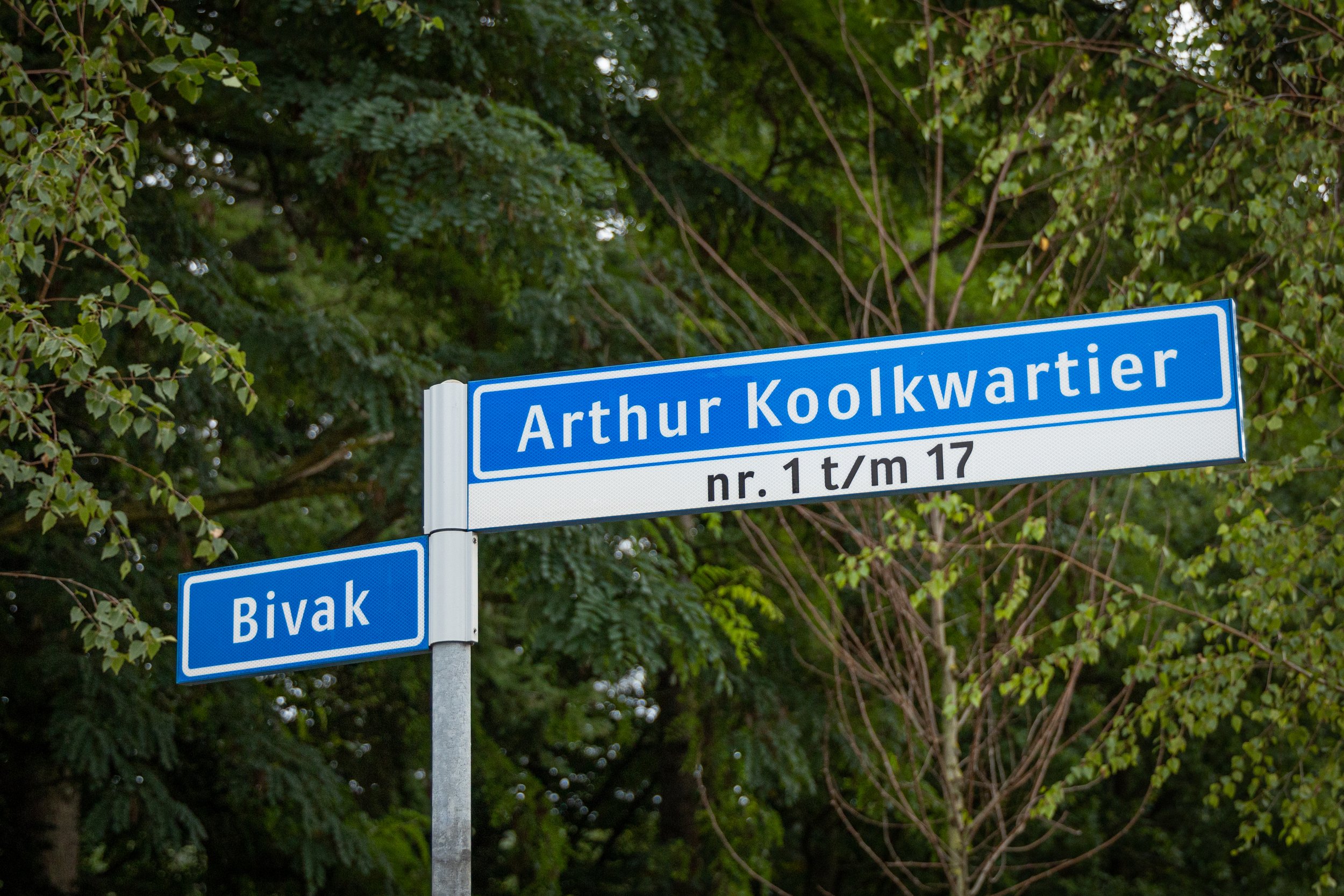 Mauritskazerene-15.jpg